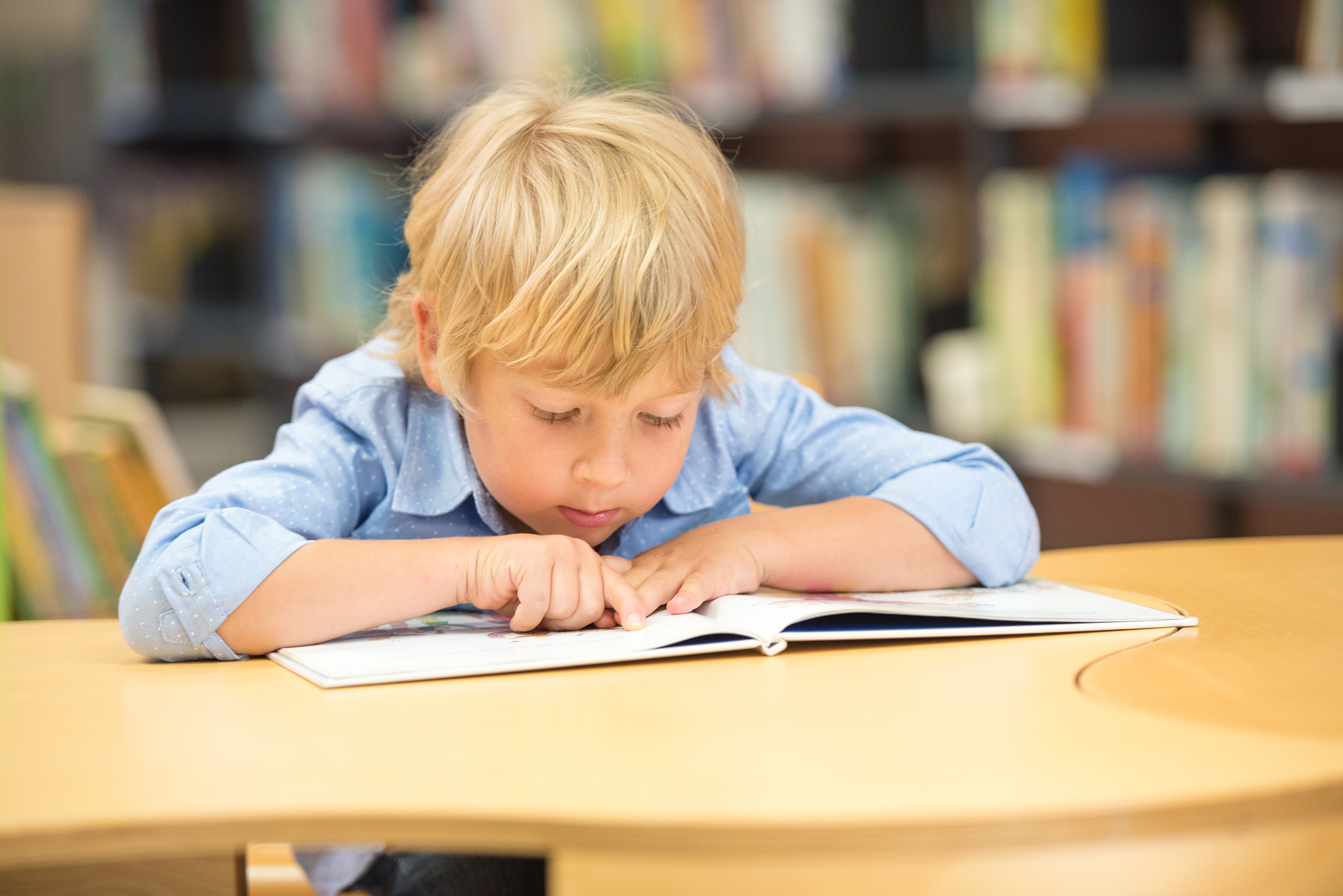 boy studying in library