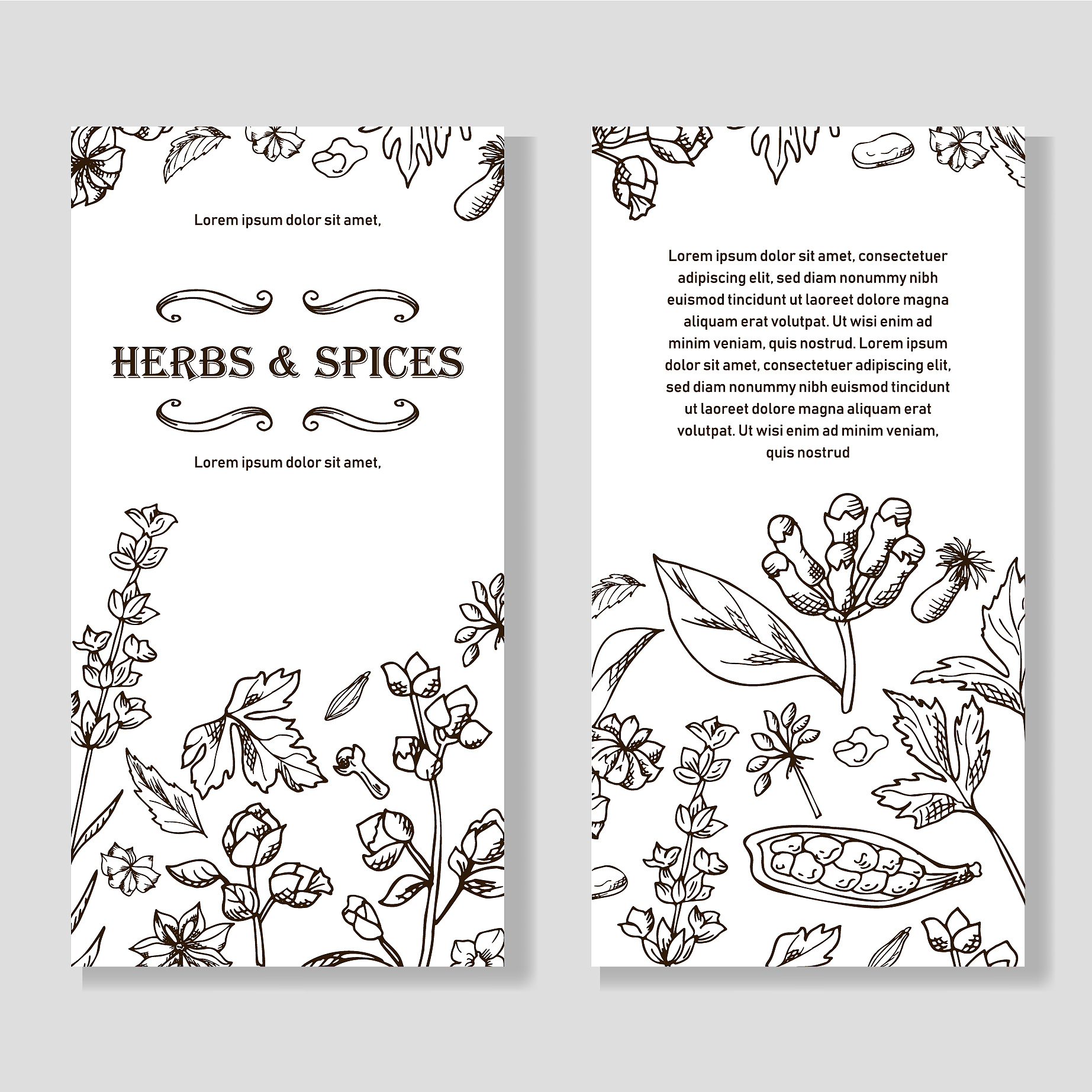 兽医专科专业怎么样？用发散性