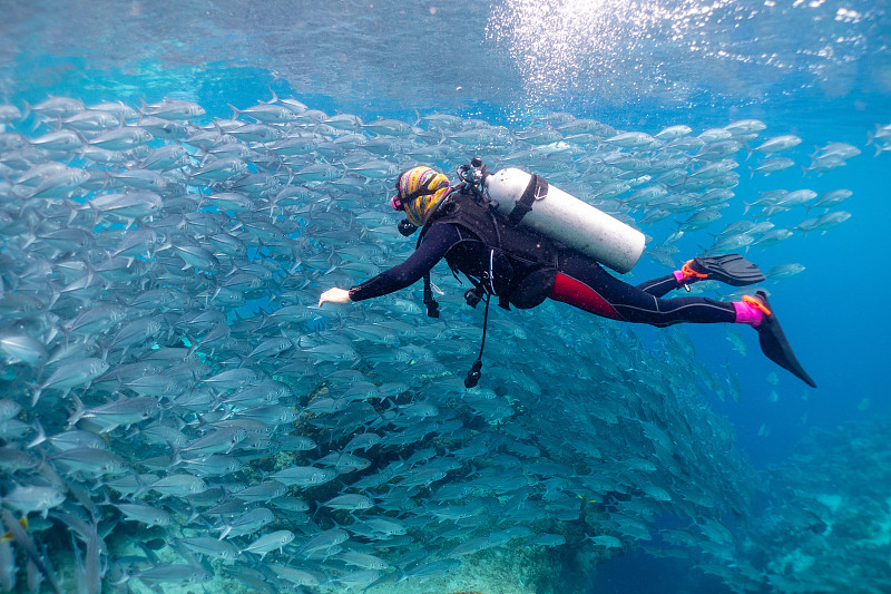 广州潜水学校2022年热门专业有哪些怎么样
