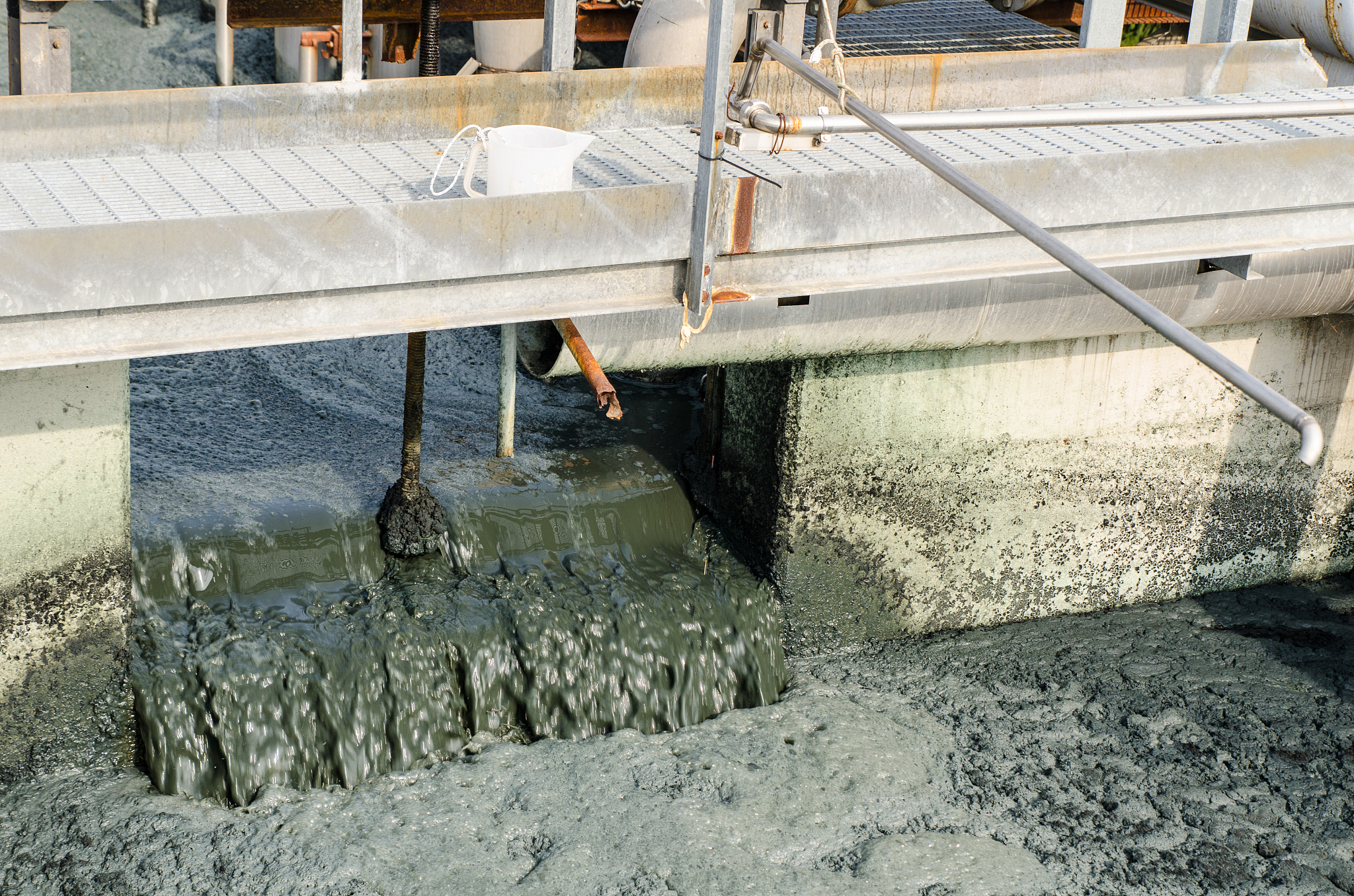 生物技术净化养殖池塘底泥重金属的有效方法