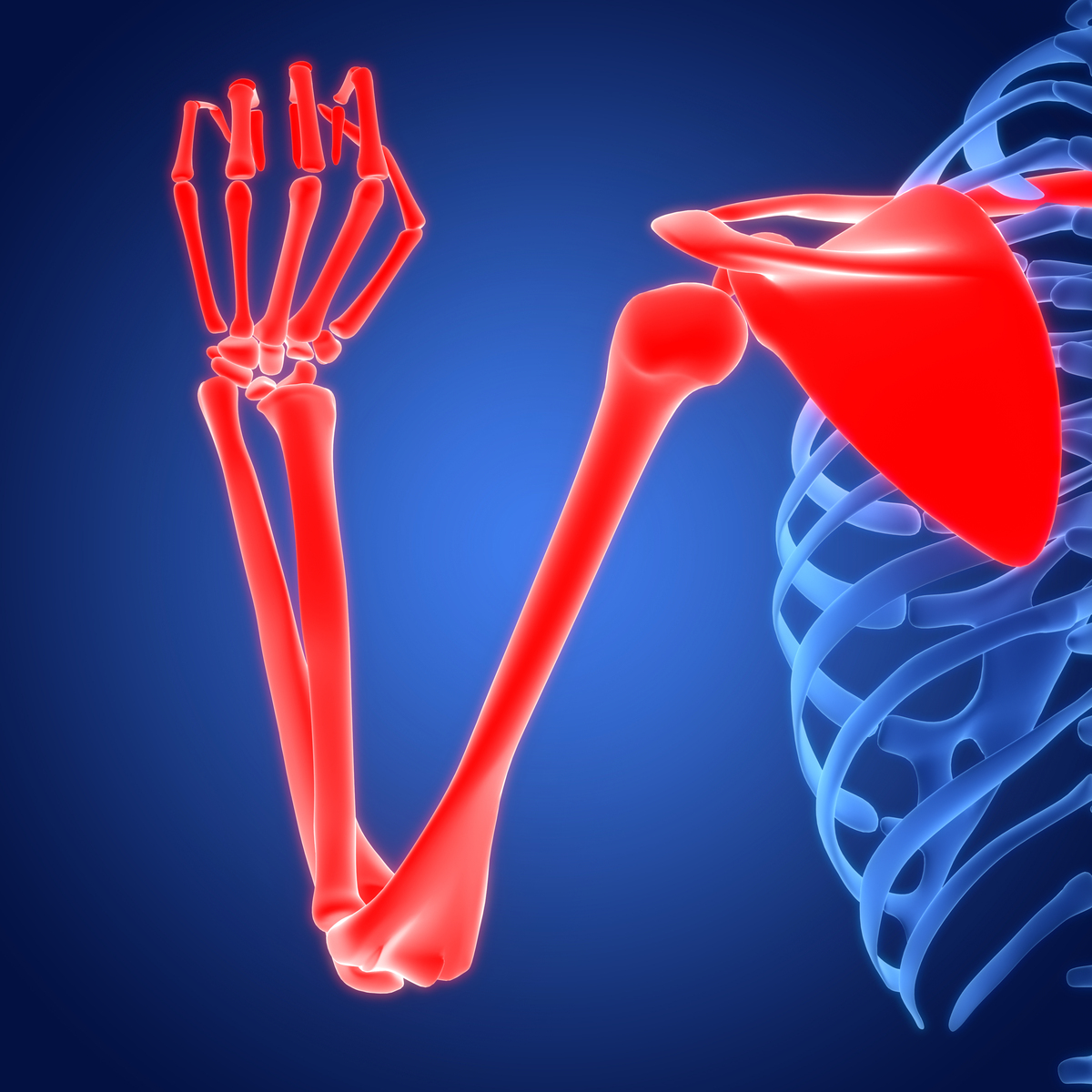 DEVELOPMENTAL AND COMPARATIVE IMMUNOLOGY期刊简介