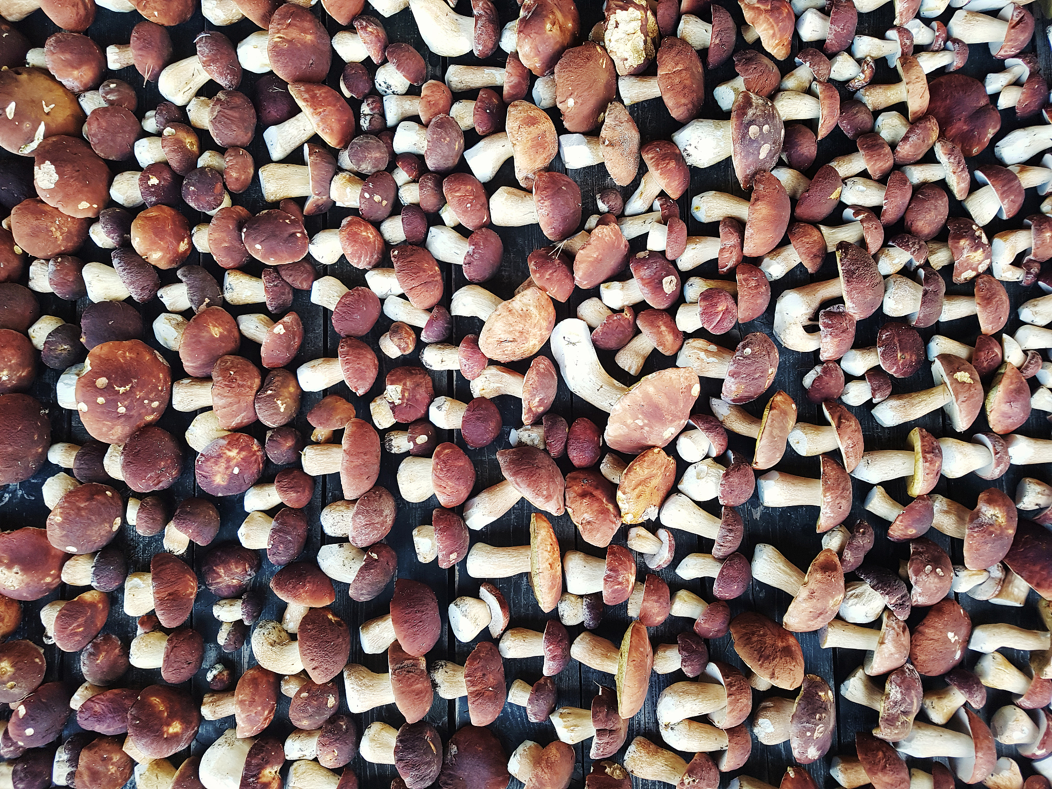 免烧陶粒取名大全：精选4个好听又专业的中文名字