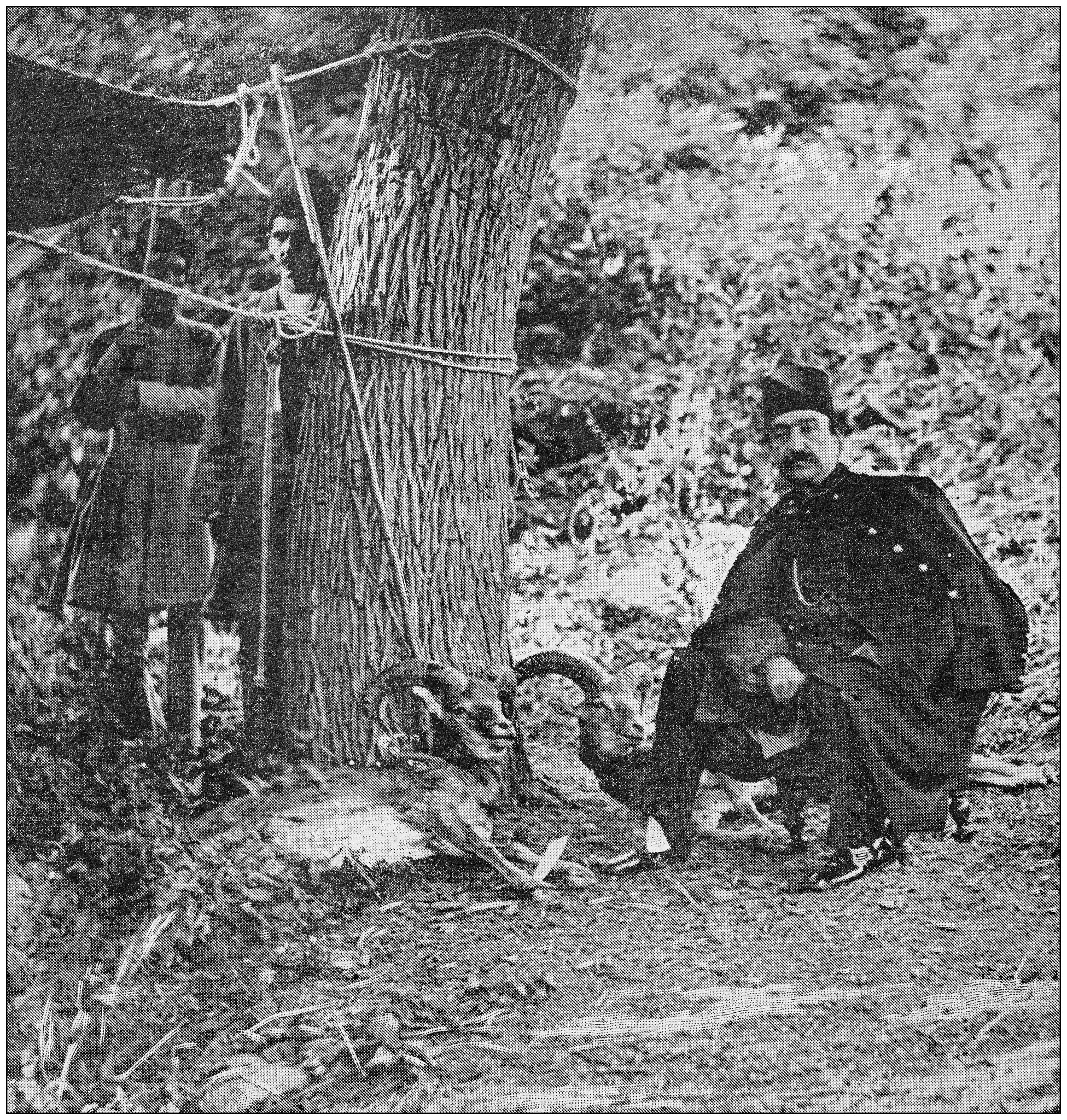 耗散结构创始人