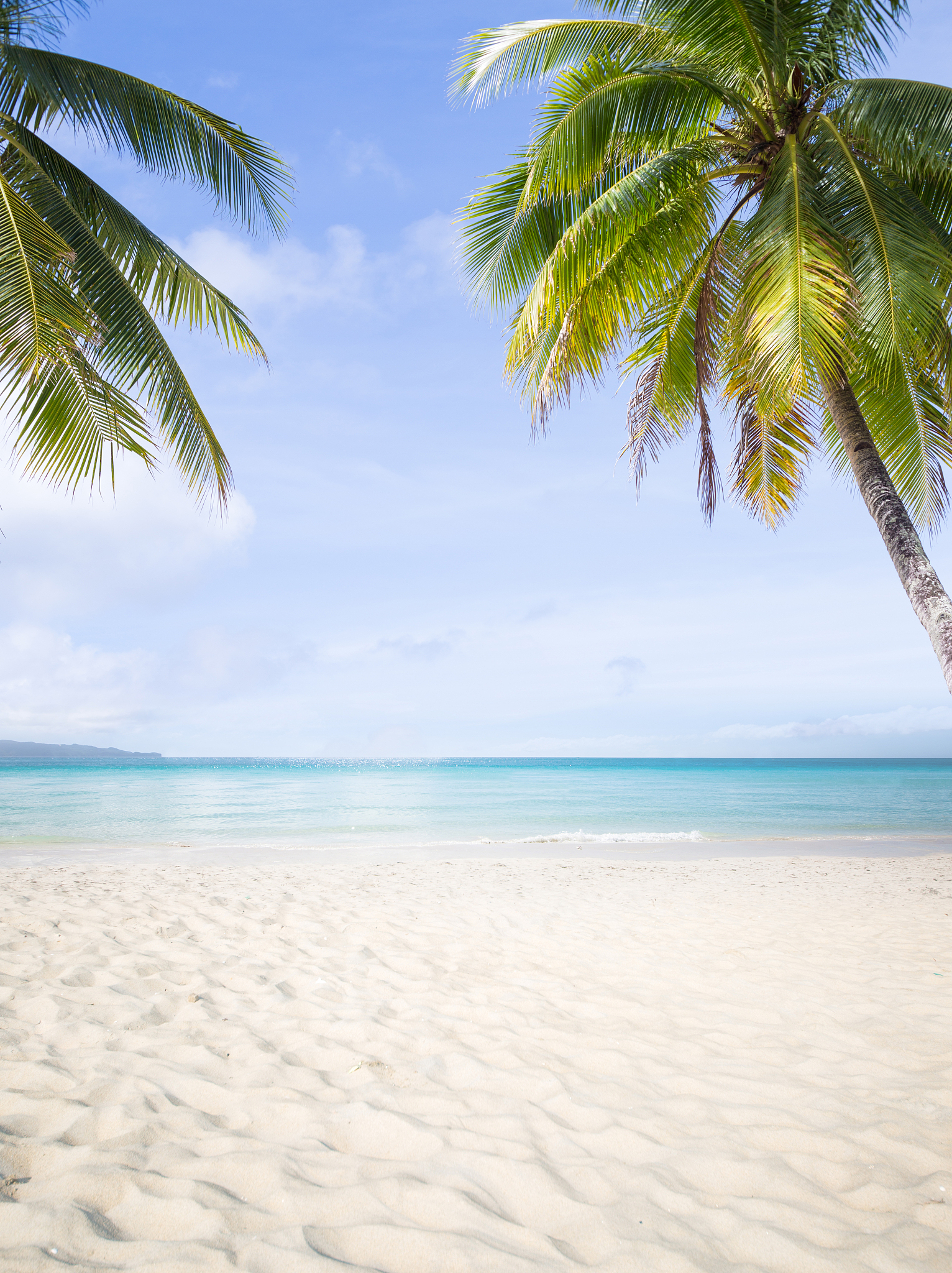 如何插入图片：电脑和手机操作指南