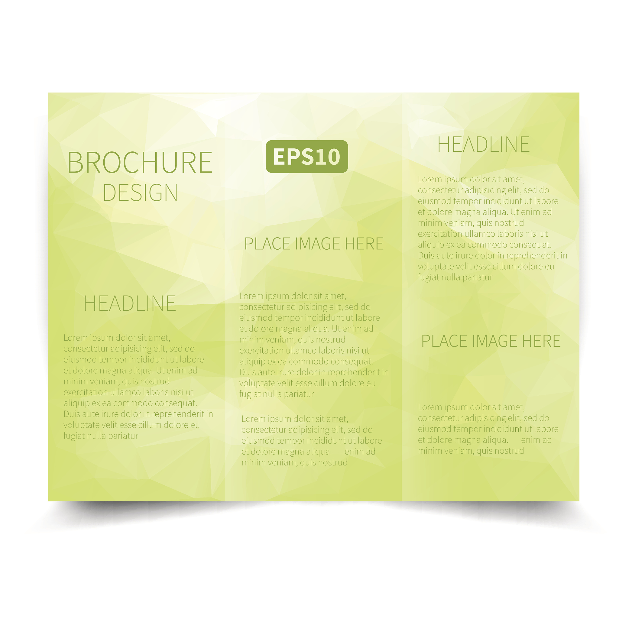 黄褐斑淡化产品使用手册目录设计