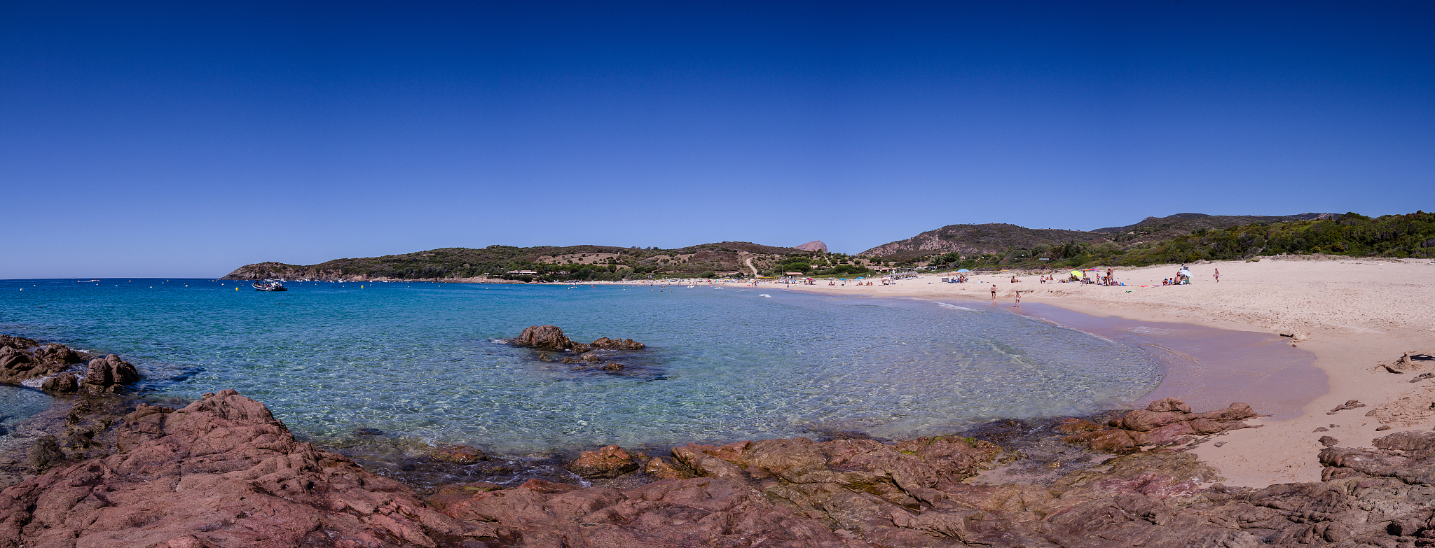 我的自传 写一篇300字小学作文