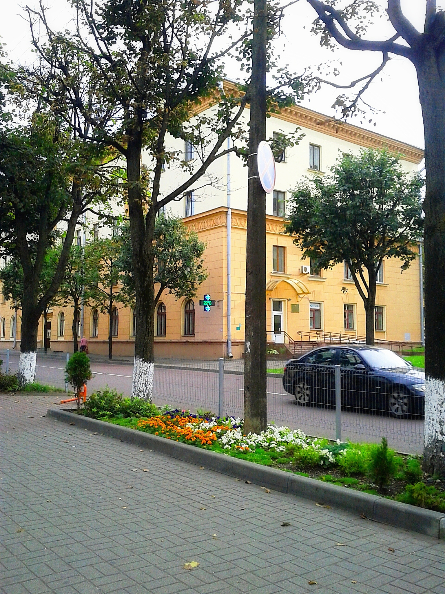 street by trees and buildings in city
