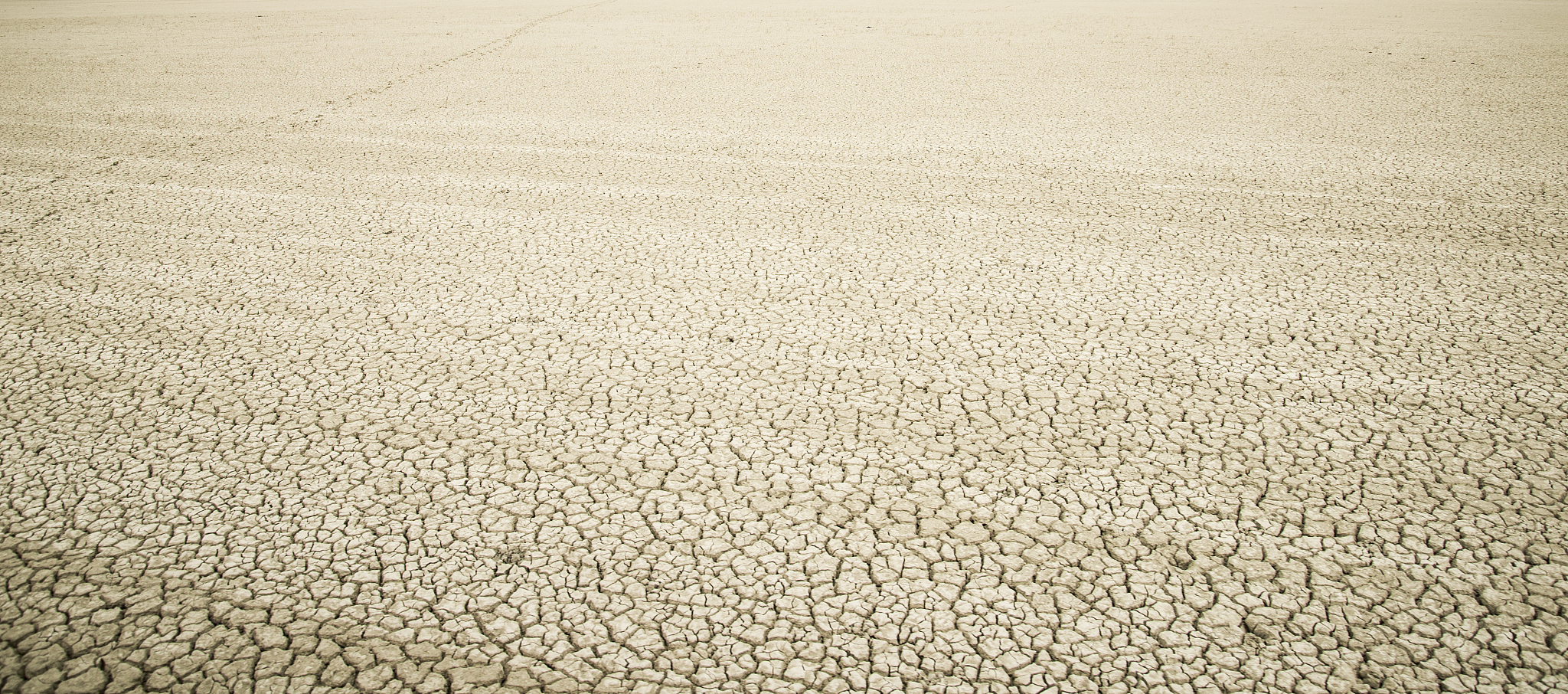panoramic view of cracked drought land