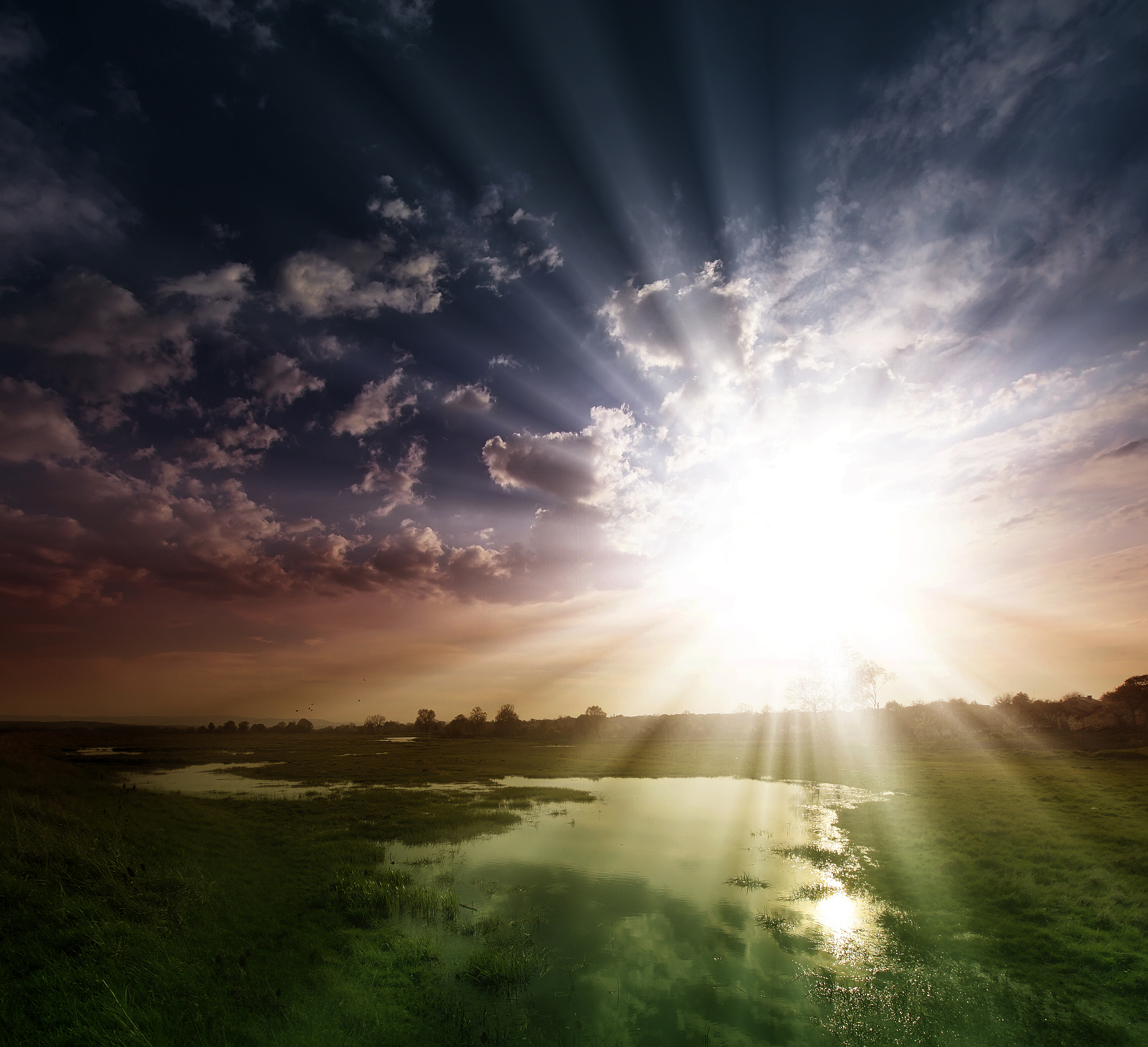 请以主题放飞心灵普洒阳光题目为《心之所向彼时为光》写一篇征文大赛文章要求紧密围绕主题和题目且内容积极健康向上感情真挚语言流畅且不少于600字