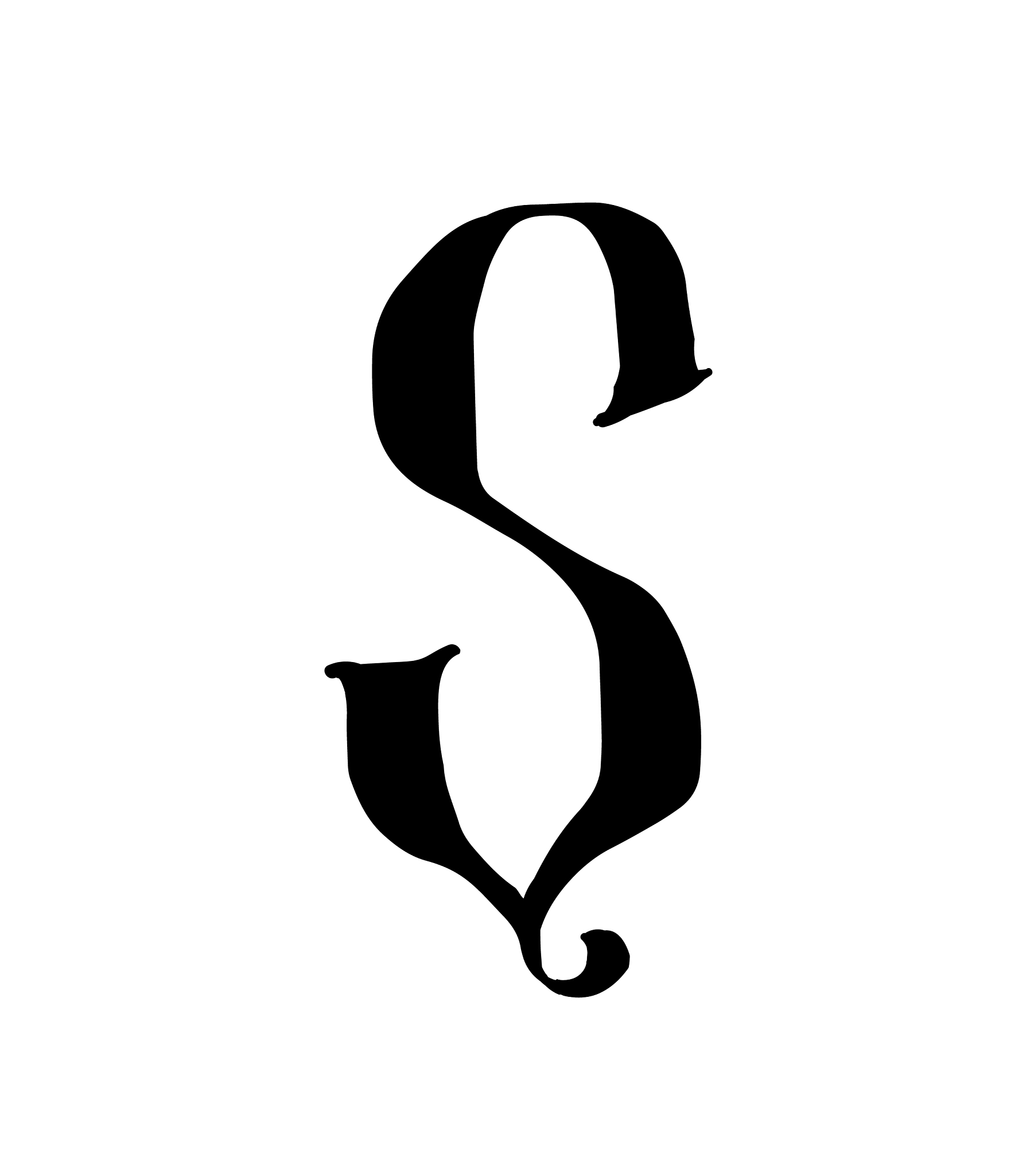 latin letter s logo for company icon for the