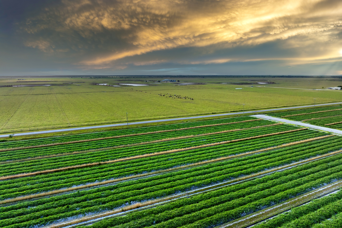 青海农牧经济发展现状及优势分析
