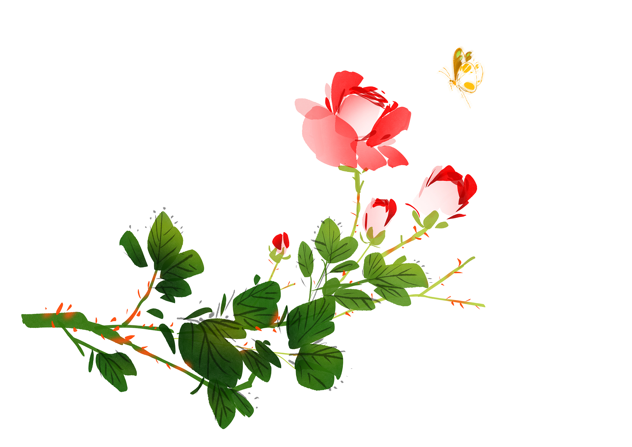 中国传统水墨花卉插画