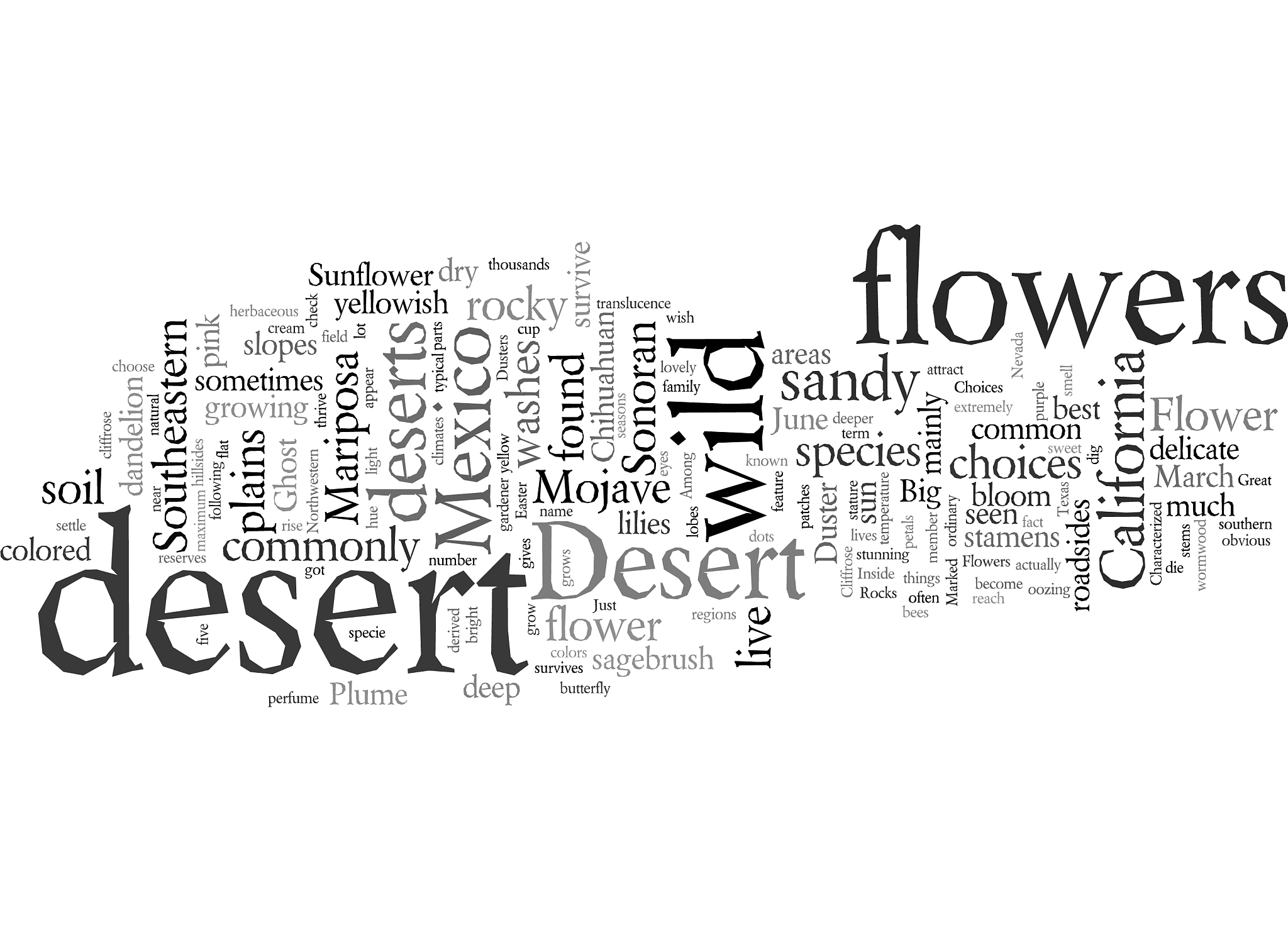 desert wild flower what are your choices