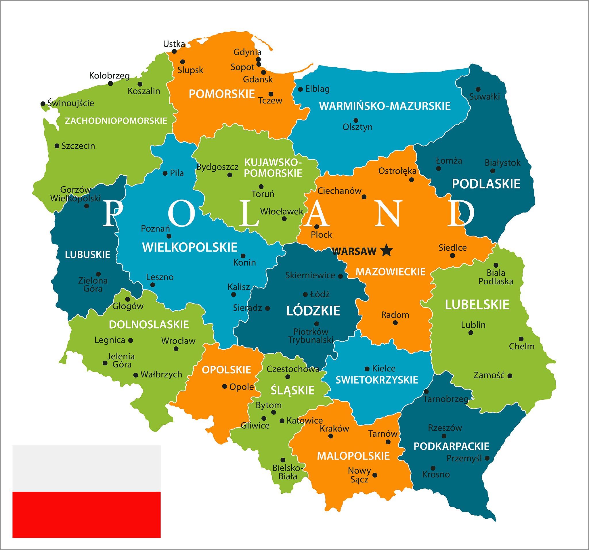 map of poland - vector