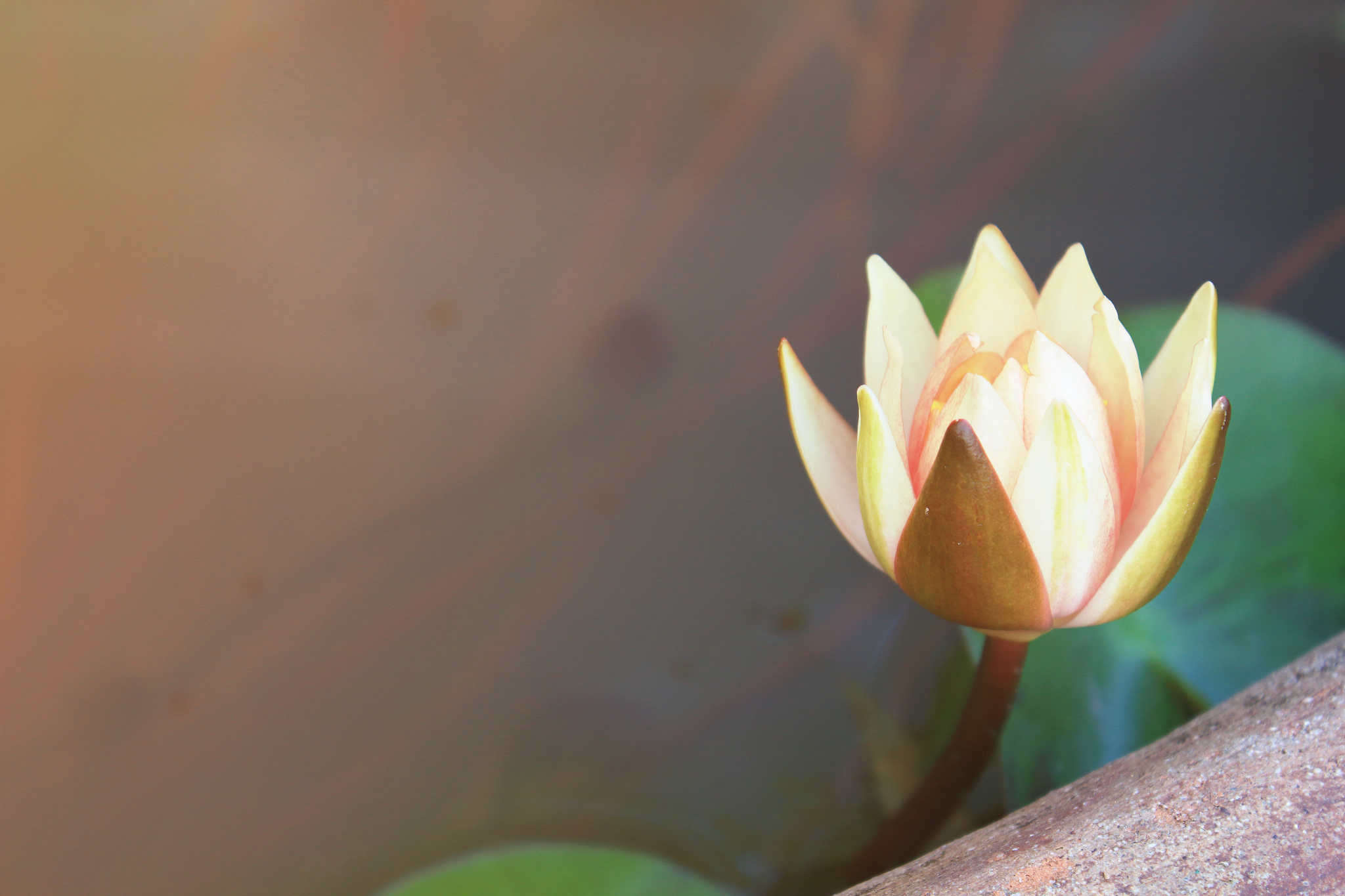 人生的幸福，往往来自于经历苦难