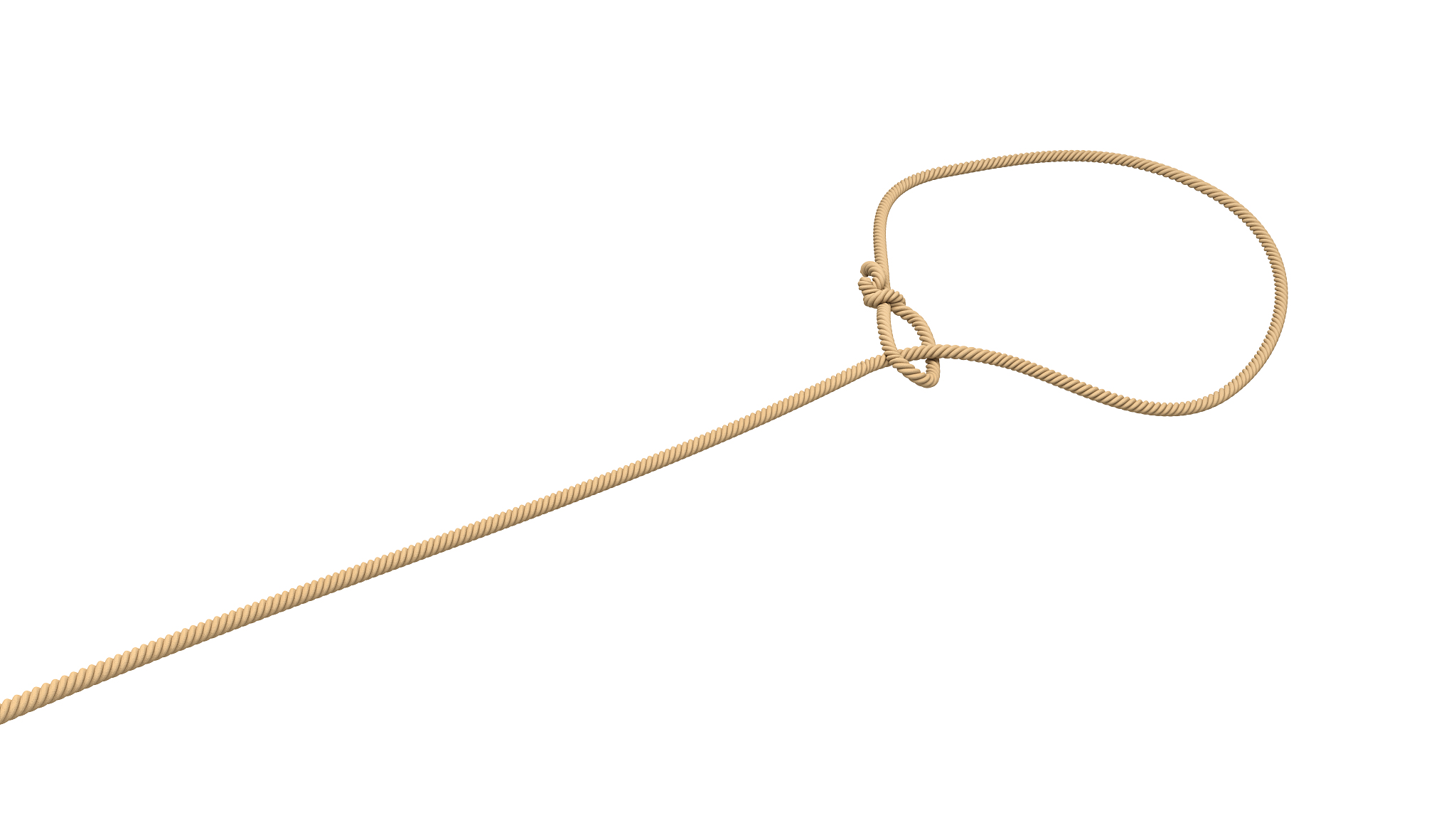 3d rendering of a rope tied in a lasso and flying on a white bac