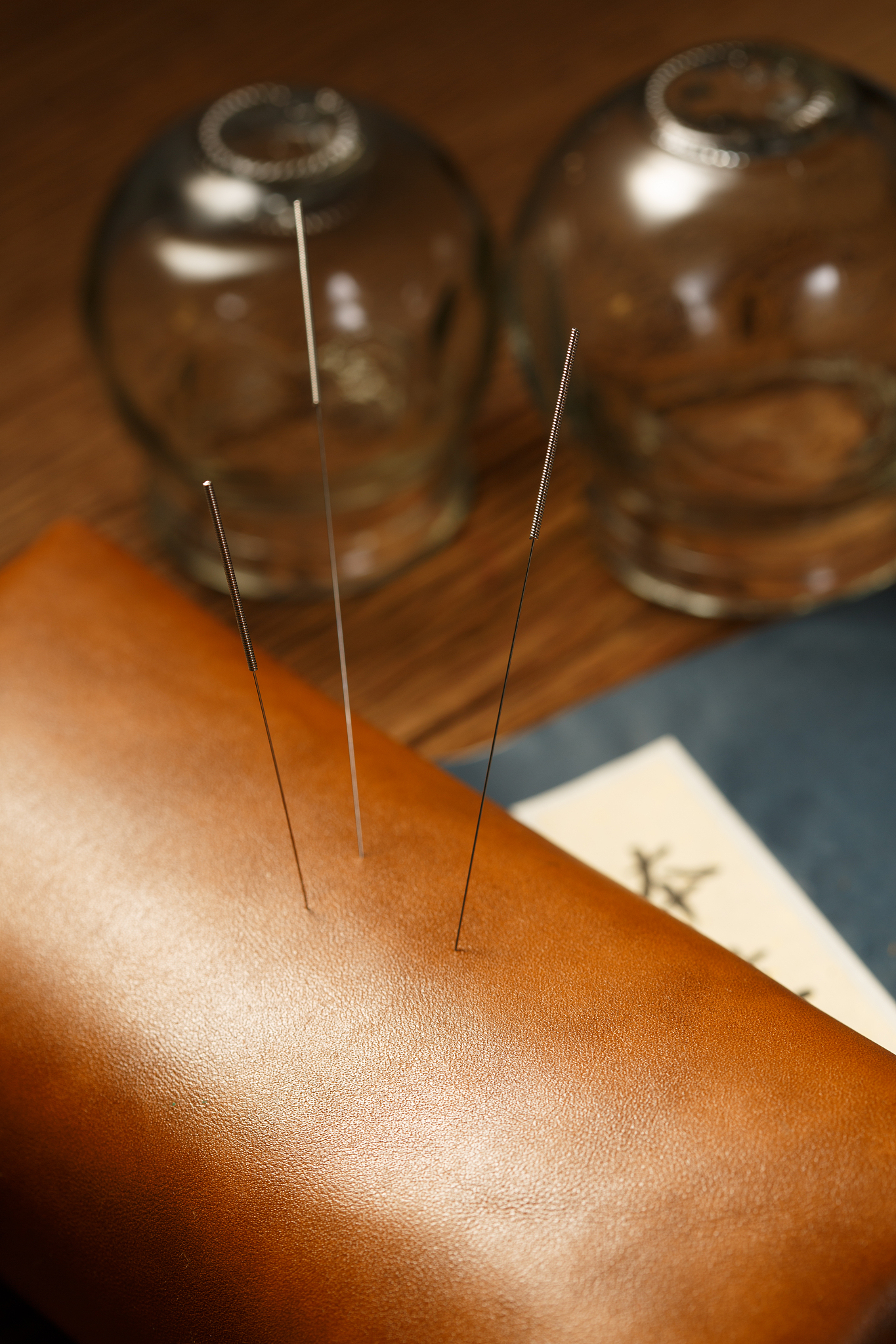 四川中医药高等专科学校专业介绍：哪些专业值得报考？