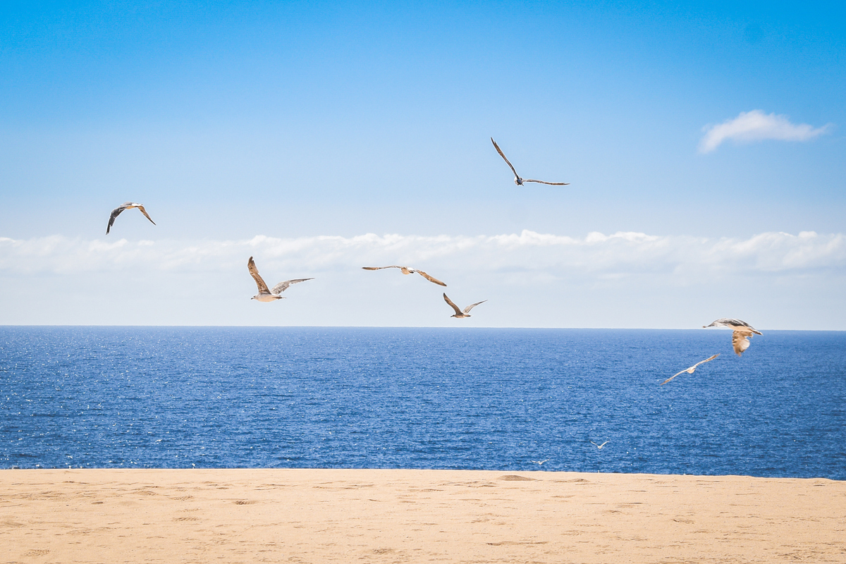 写个100字的小说