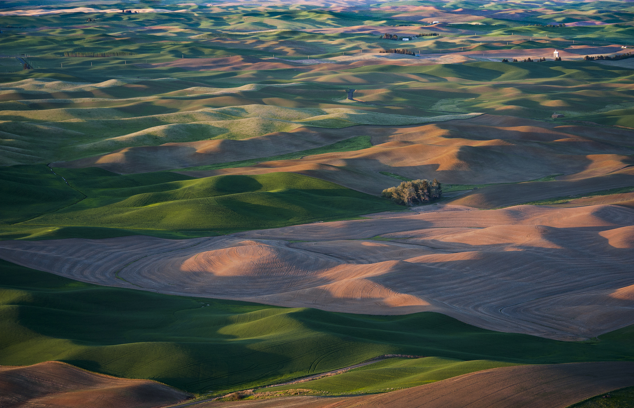 washington palouse