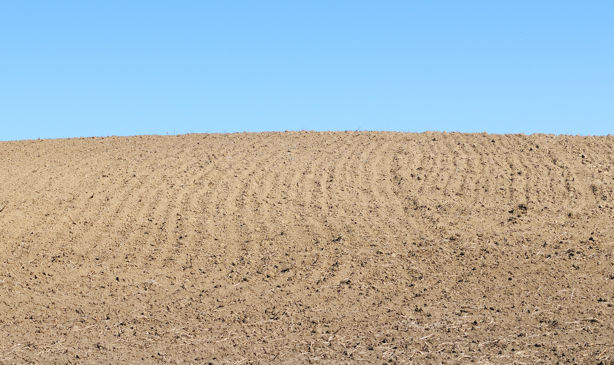 field