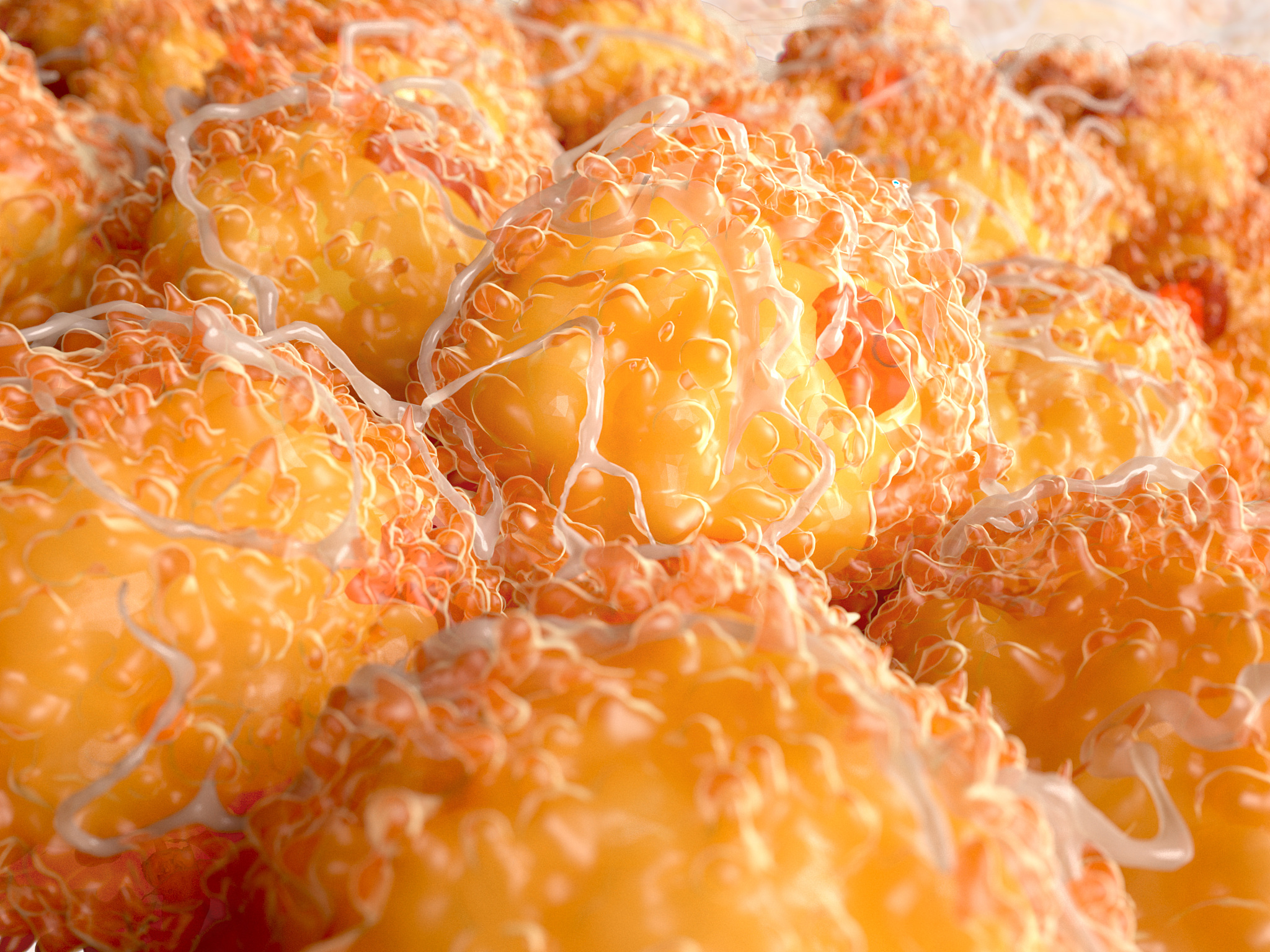 孕产妇健康风险关联规则分析：高龄、多胎、高血压等因素影响不良孕产结局