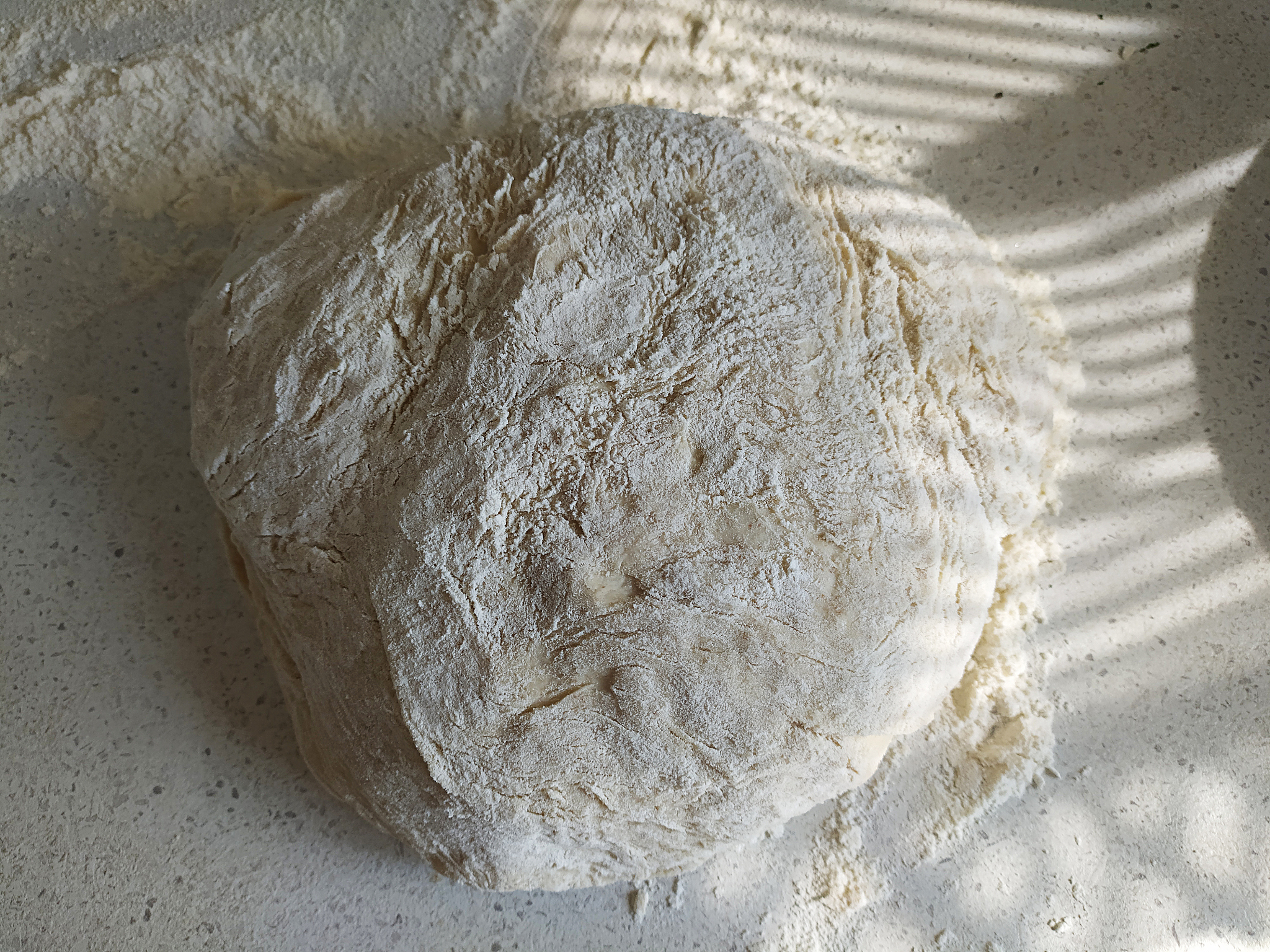 黄面与白面有什么区别200字左右详细描述一下