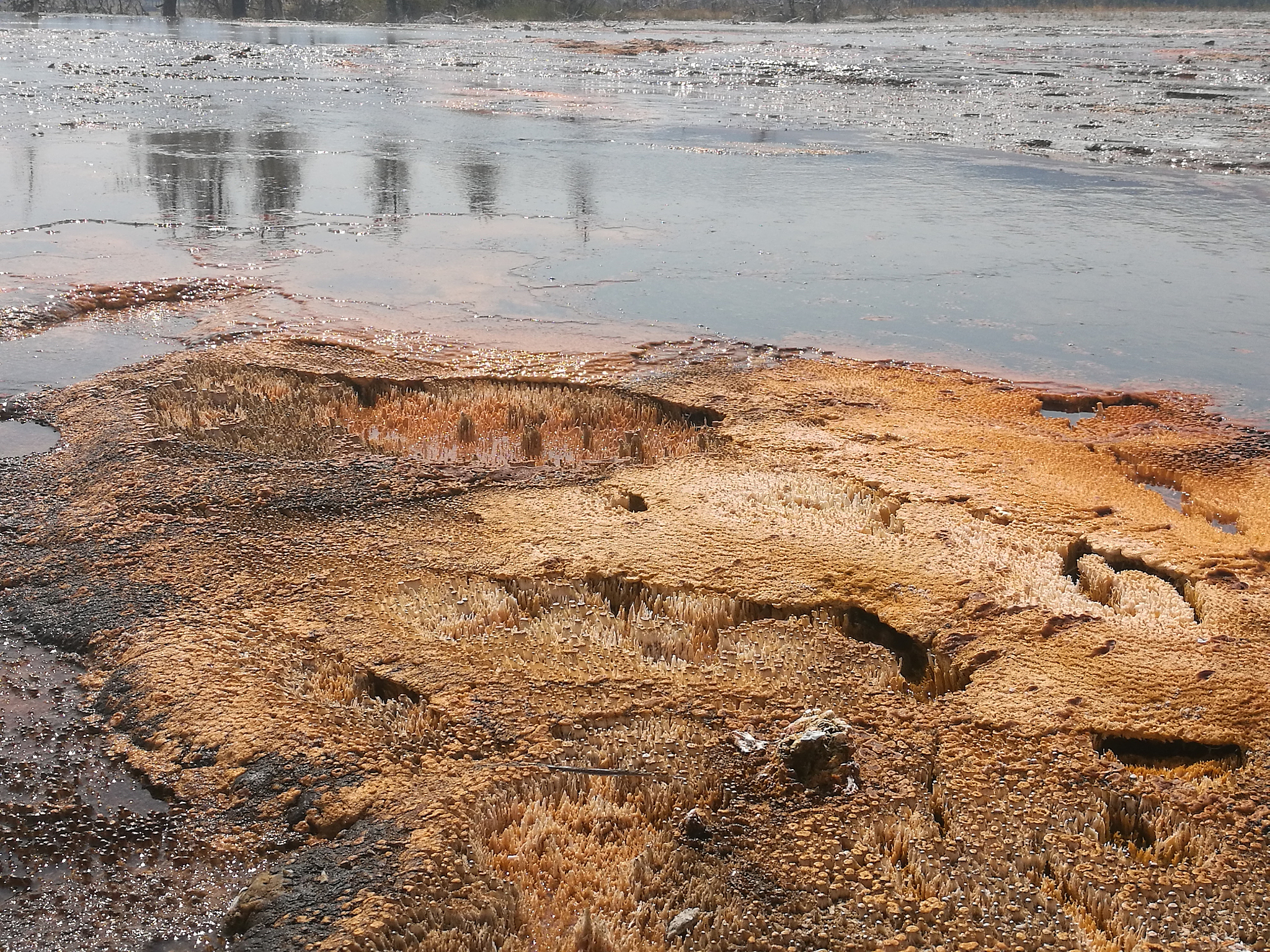 以《黄河的水干了我的心碎了》为题写一篇文章