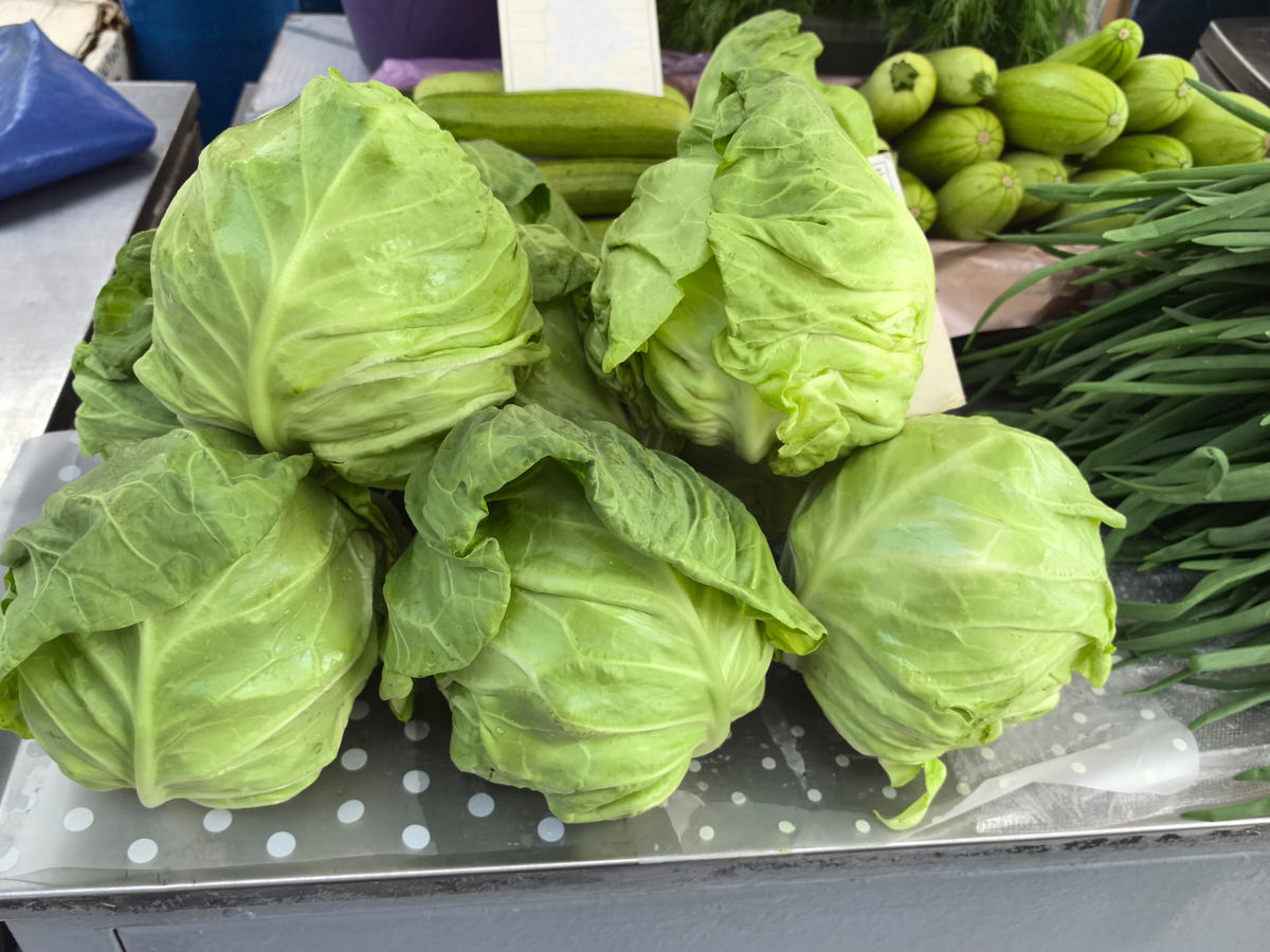 洋白菜和包菜：区别在哪？300字全面解析