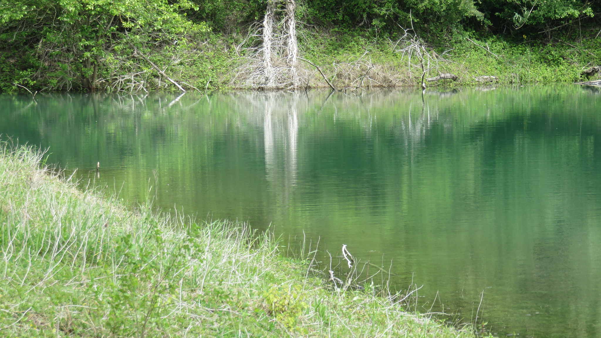 lake reflection