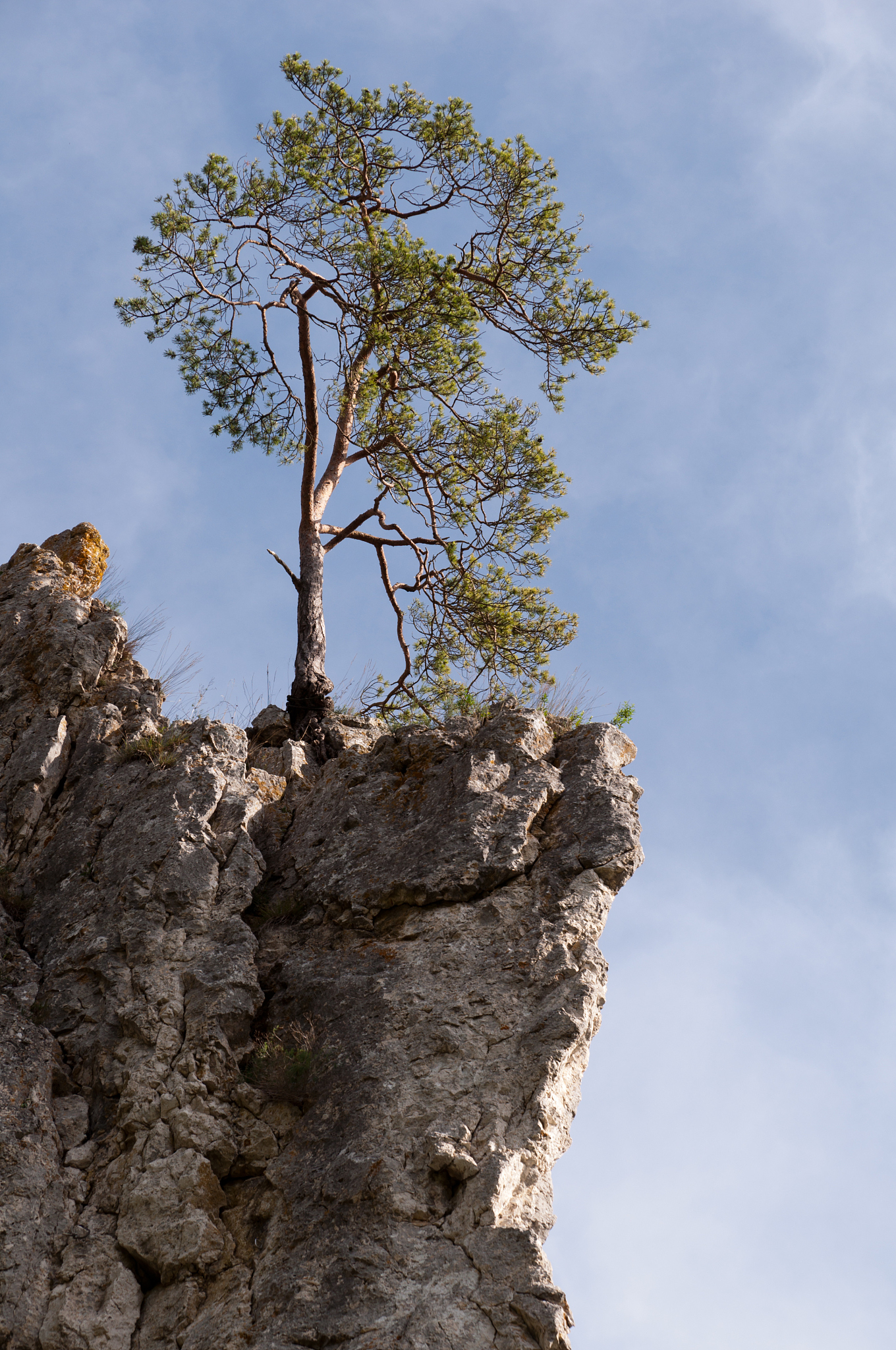 屹立不倒 记叙文