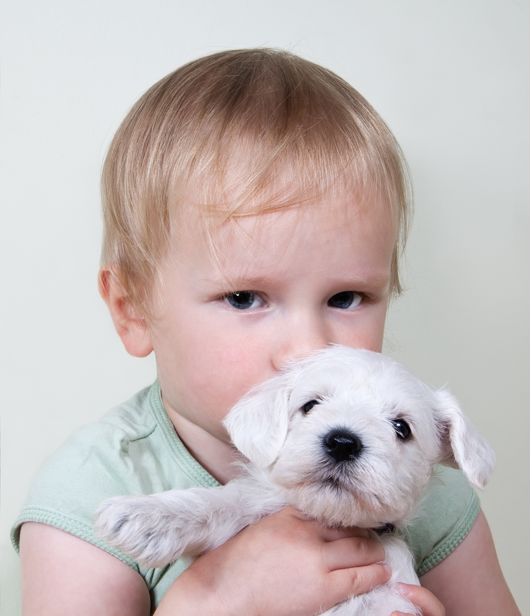 宝宝接触狗狗后发烧怎么办？原因分析及应对措施