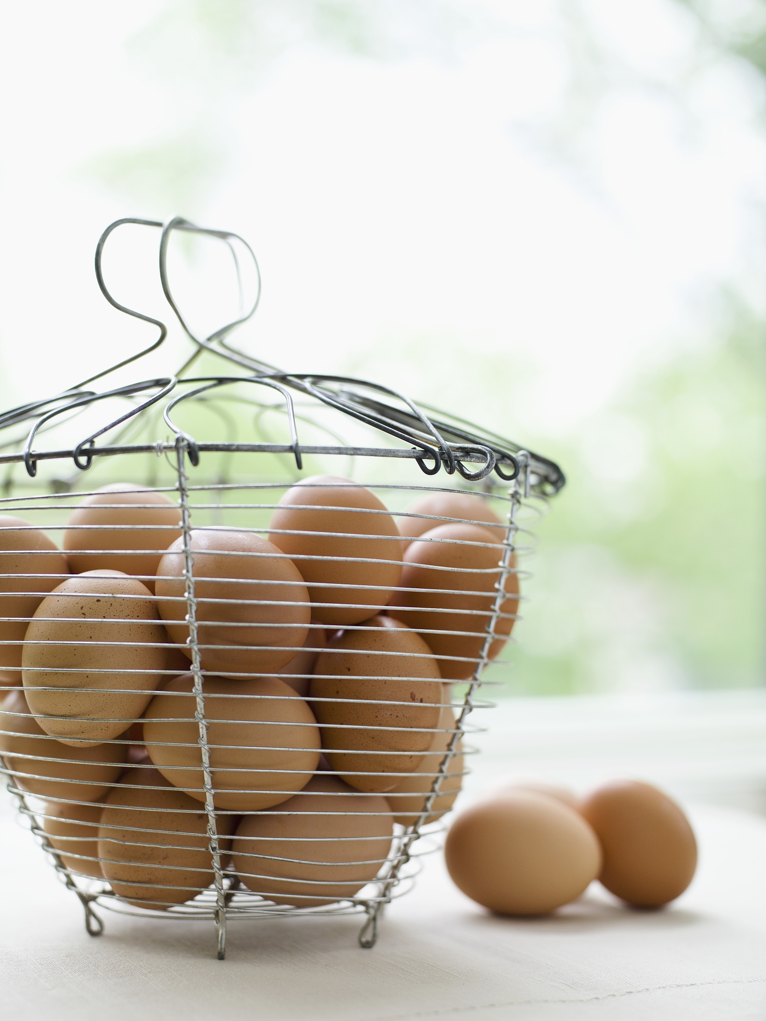 fresh eggs