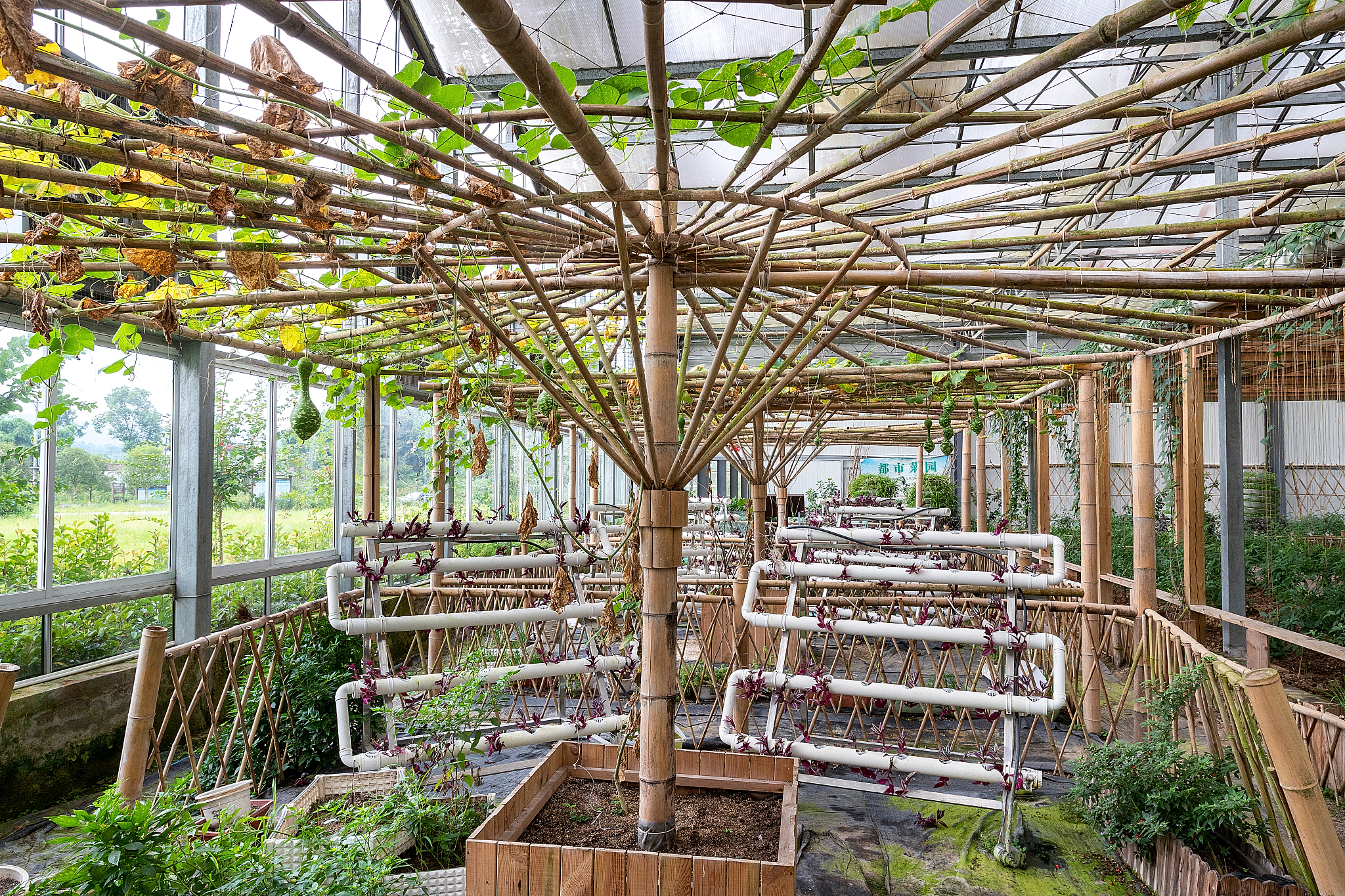 竹制拱形农业大棚模型结构设计思想与根据