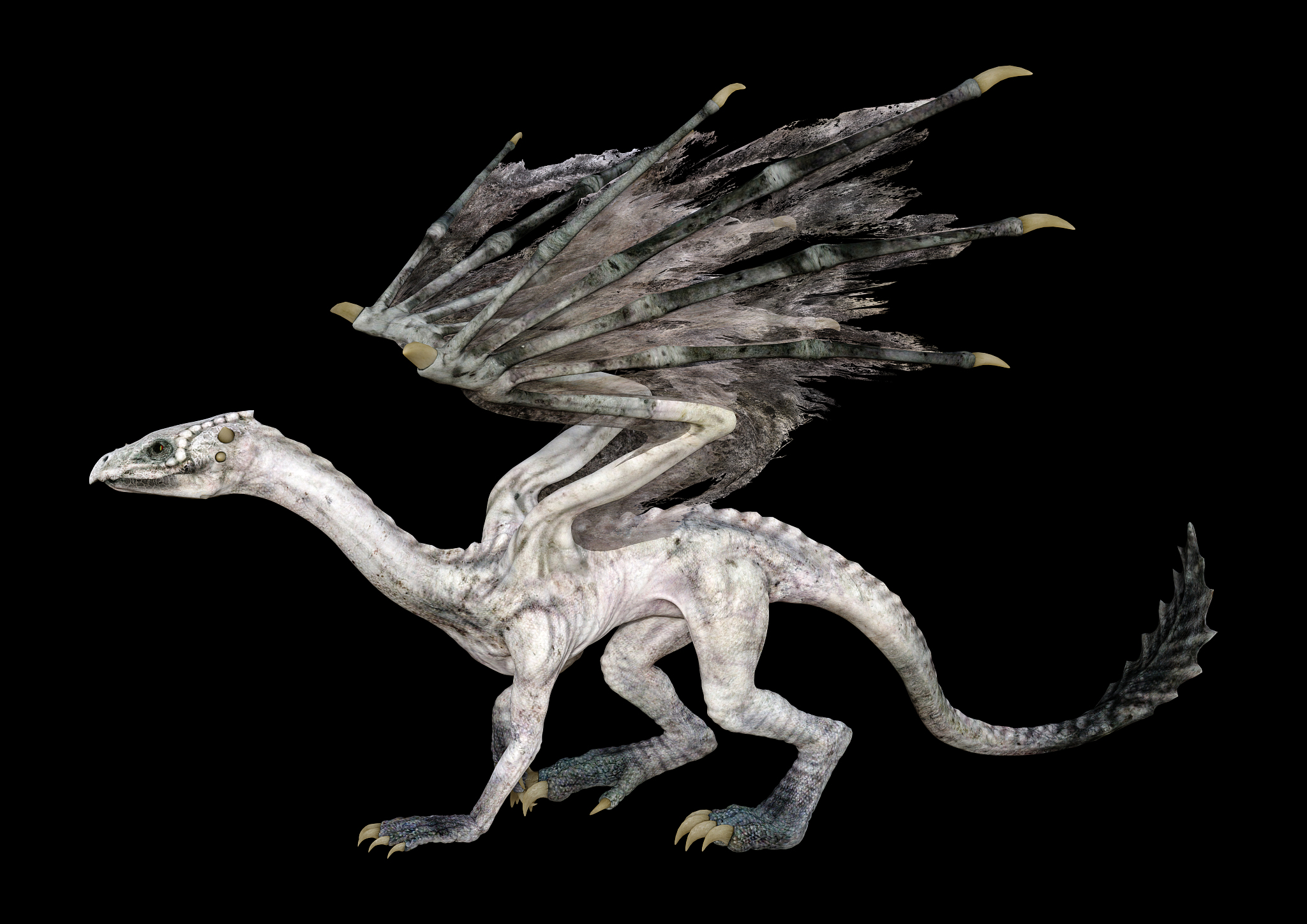 3d illustration fantasy dragon on black