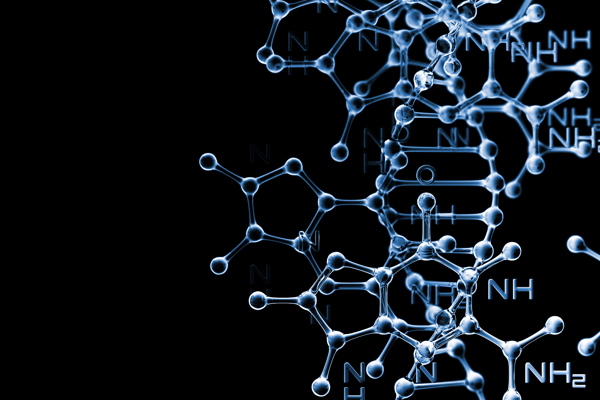 物理交联水凝胶本构模型研究：基于断裂-重连机制的网络结构演化
