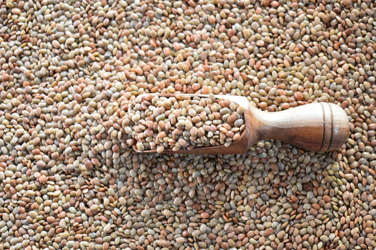 炒糙米的好处与坏处：功效、作用、禁忌 | 300字详解