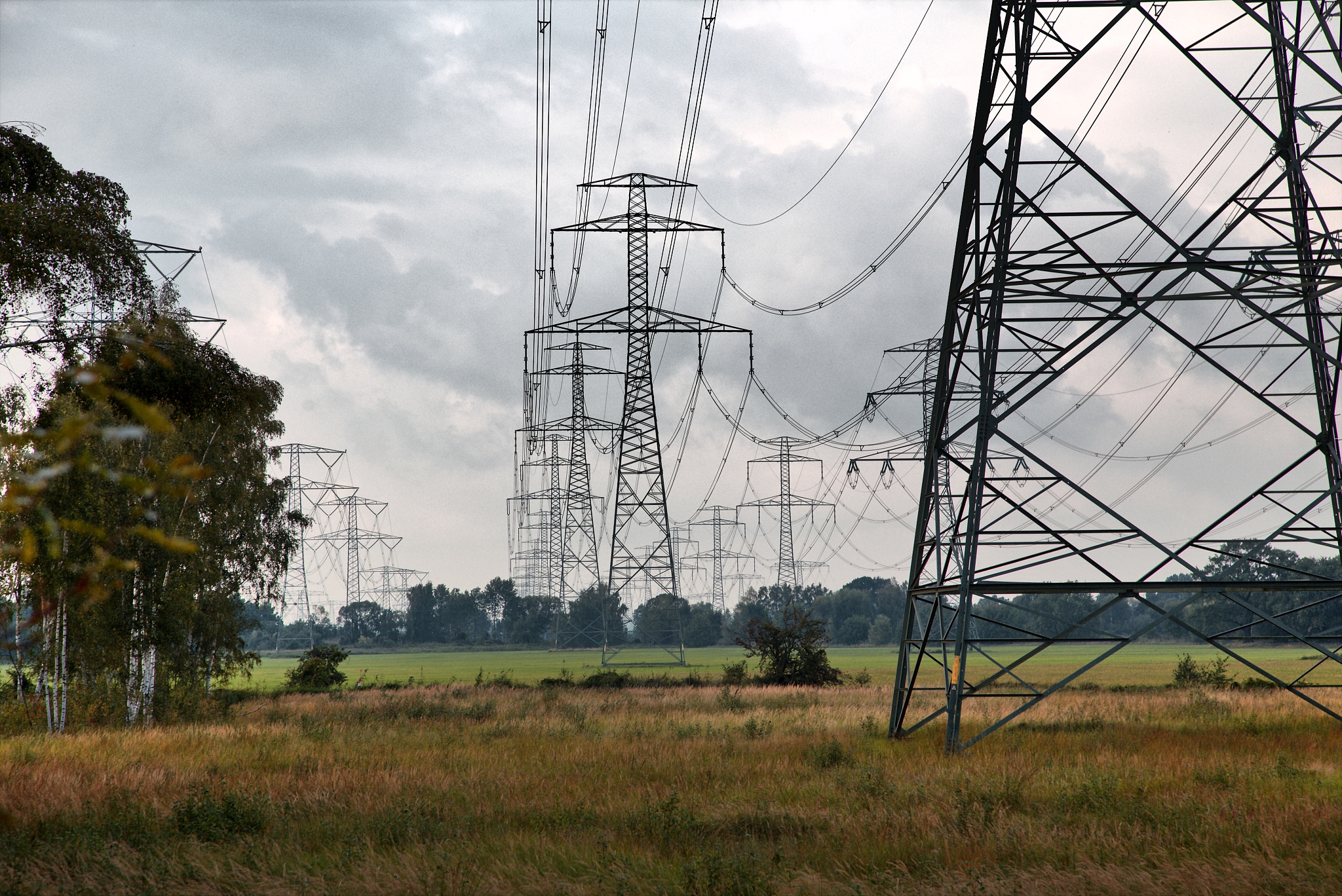 广东水利电力职业技术学院开设高铁乘务专业吗？