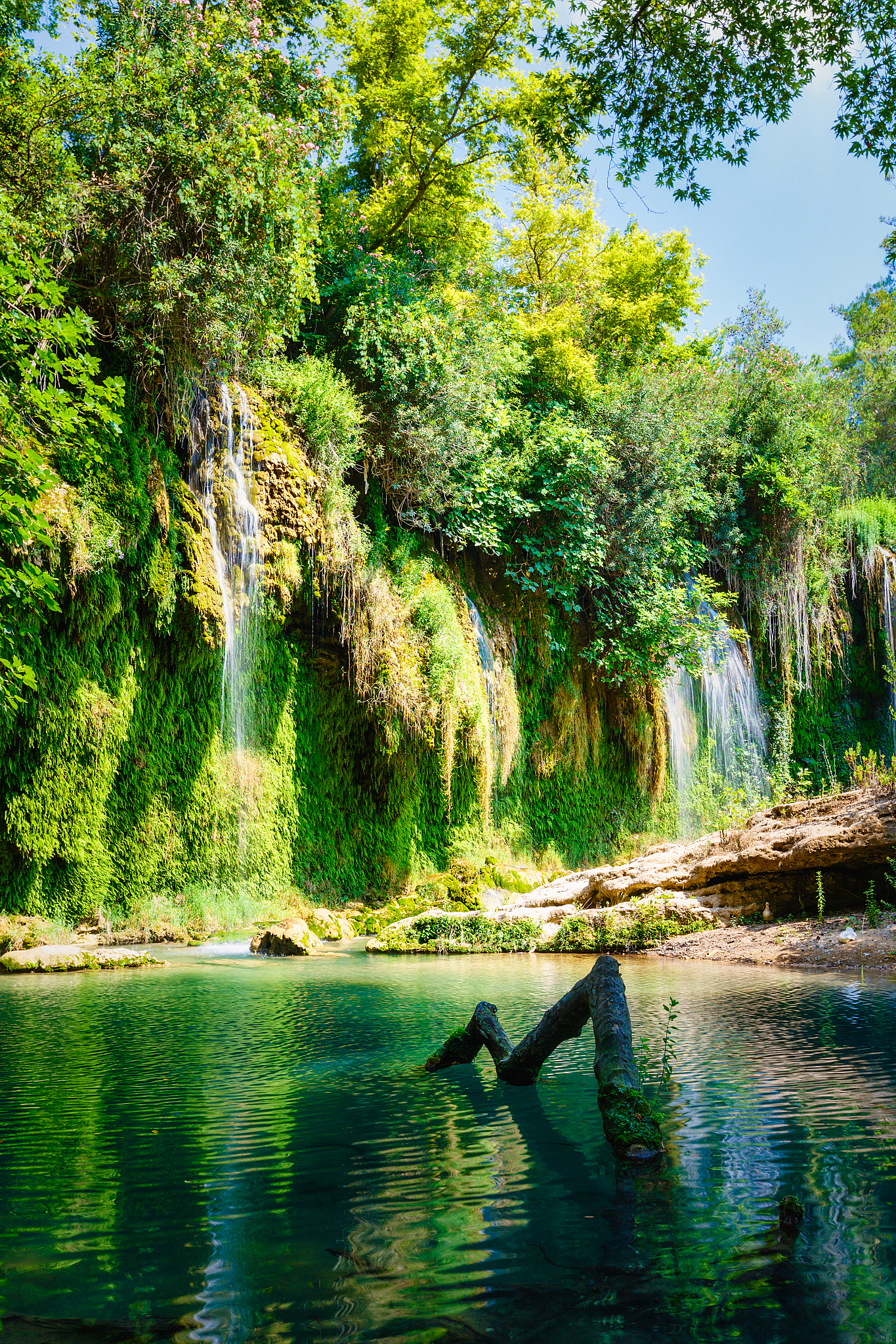 beautiful waterfall in green rainforest in turkey (kursunlu wate