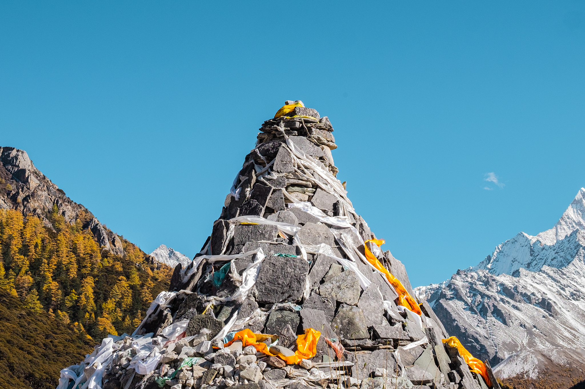 误把师祖当鼎炉