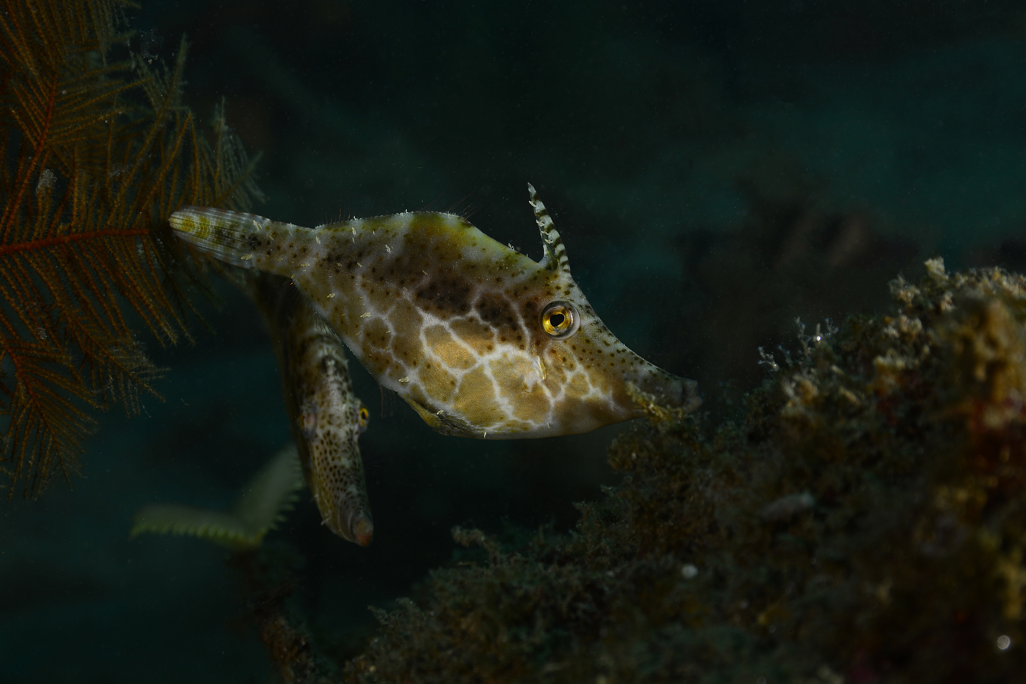 威海海洋职业学院2019年招生简章：培养海洋产业人才的理想选择