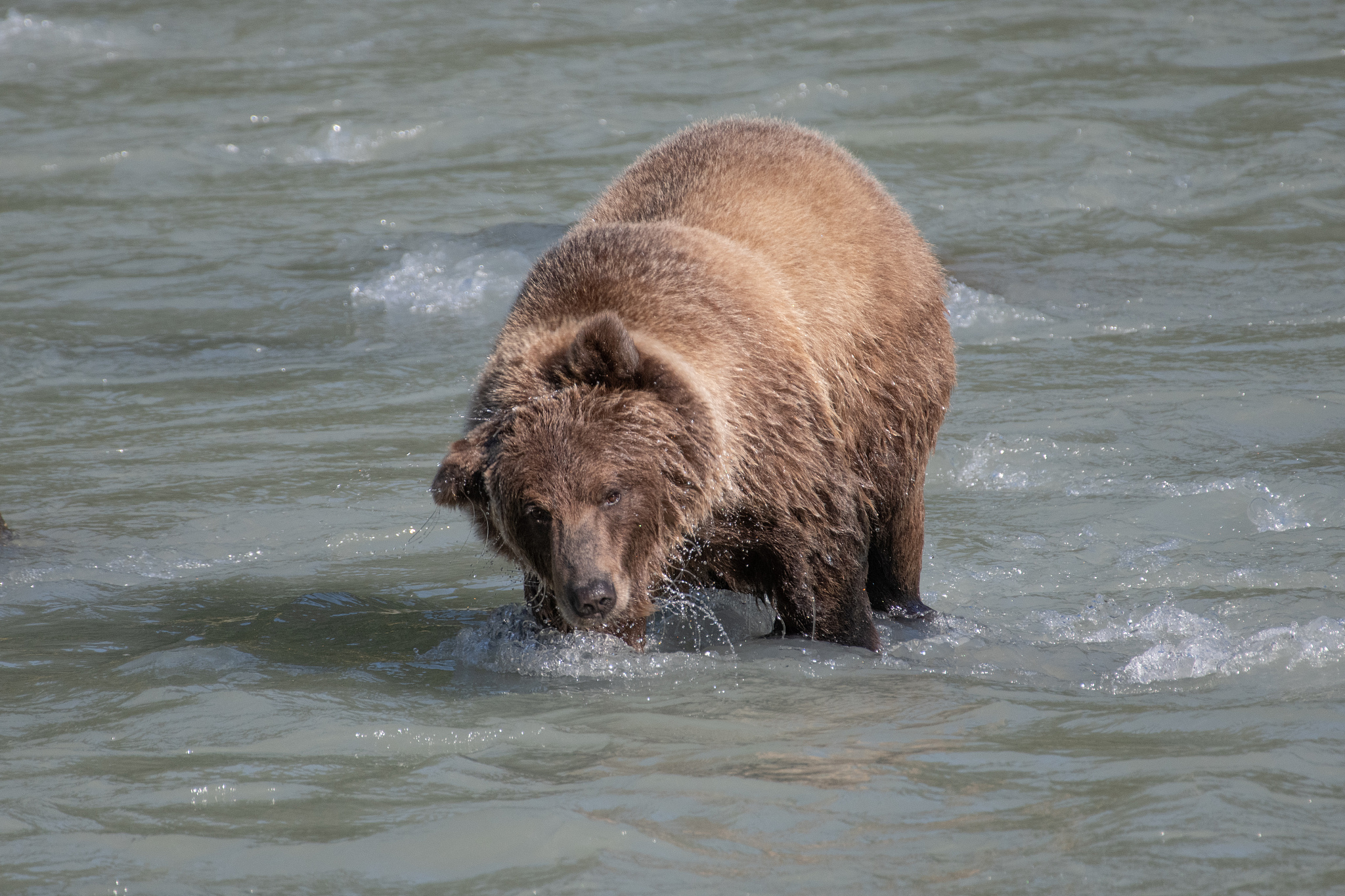 王者荣耀貂蝉怎么玩