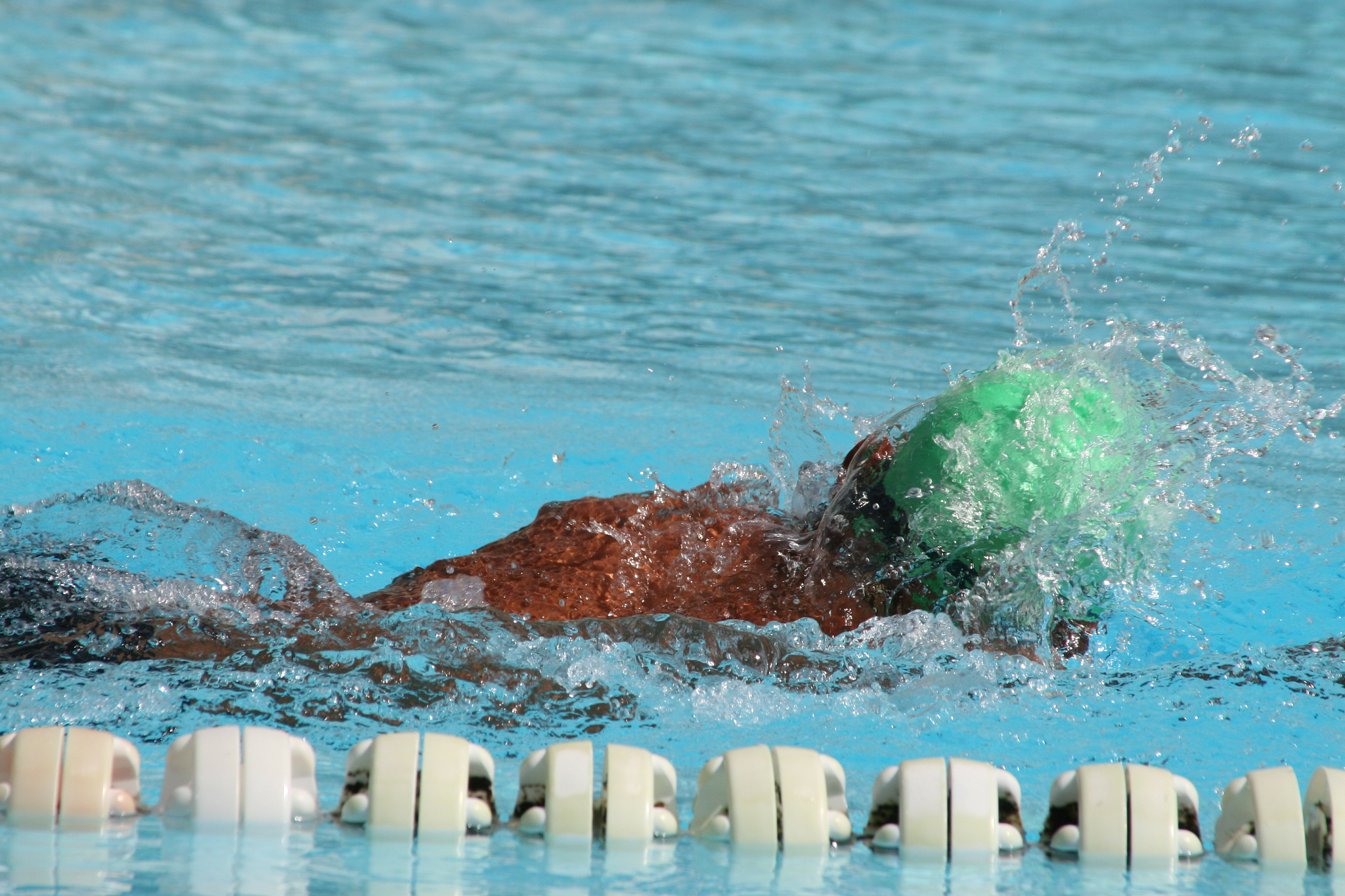 swimmer