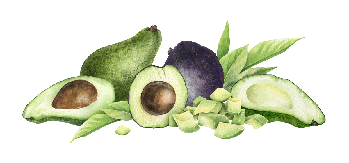 牛油果热量及营养价值：减肥人士也能放心吃？