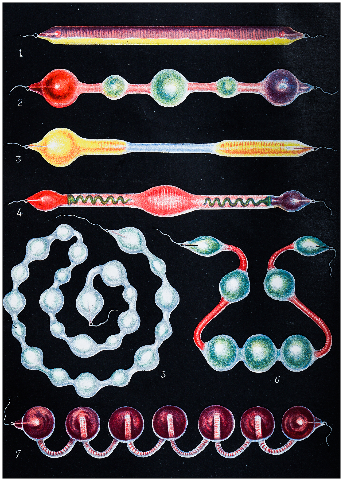 靠电转移完成生物大分子的转移