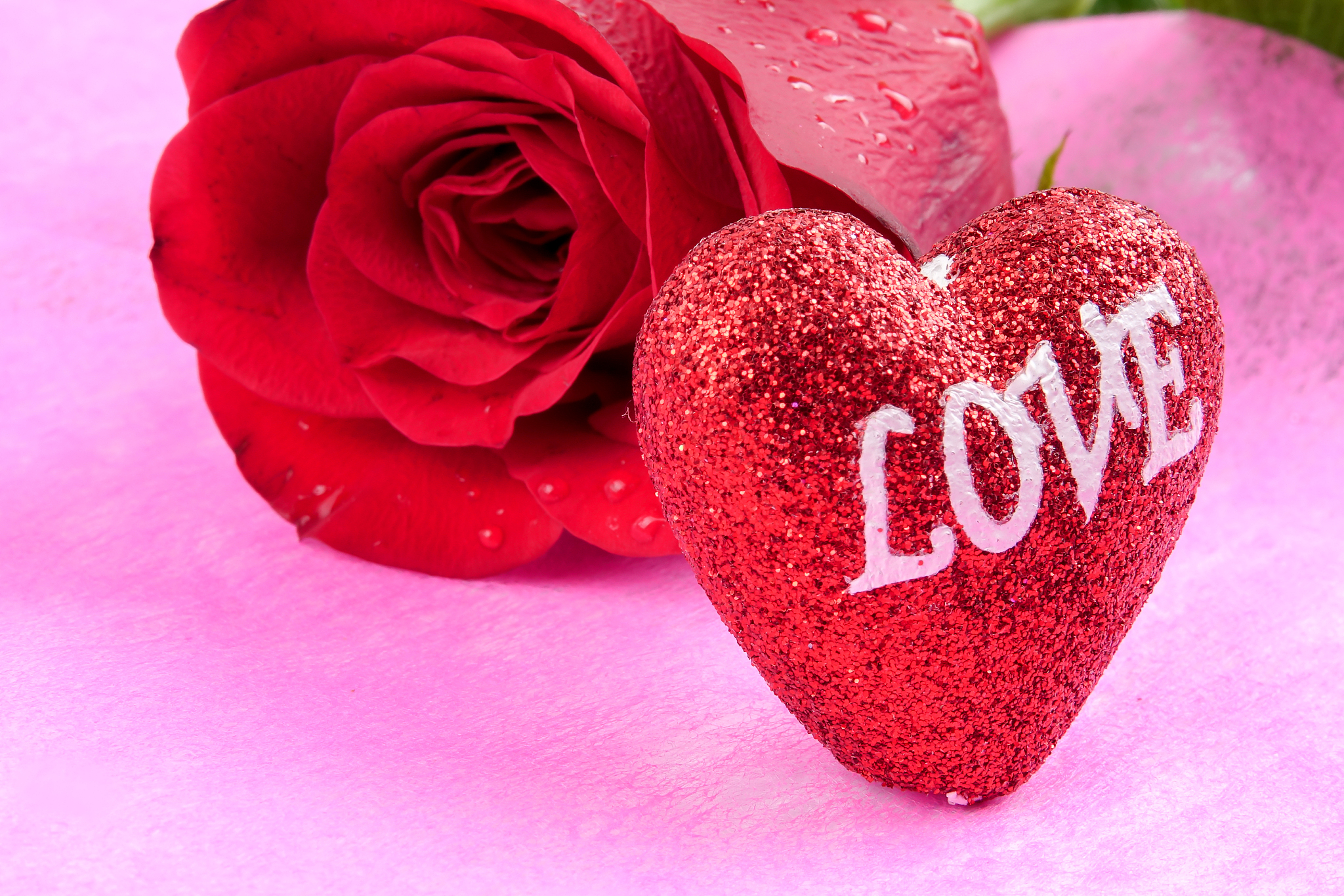 不一定需要糖和玫瑰是什么梗