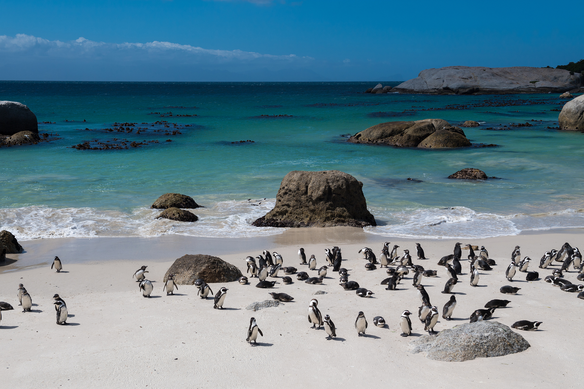 菲利普岛探秘：迷人的海岛世界