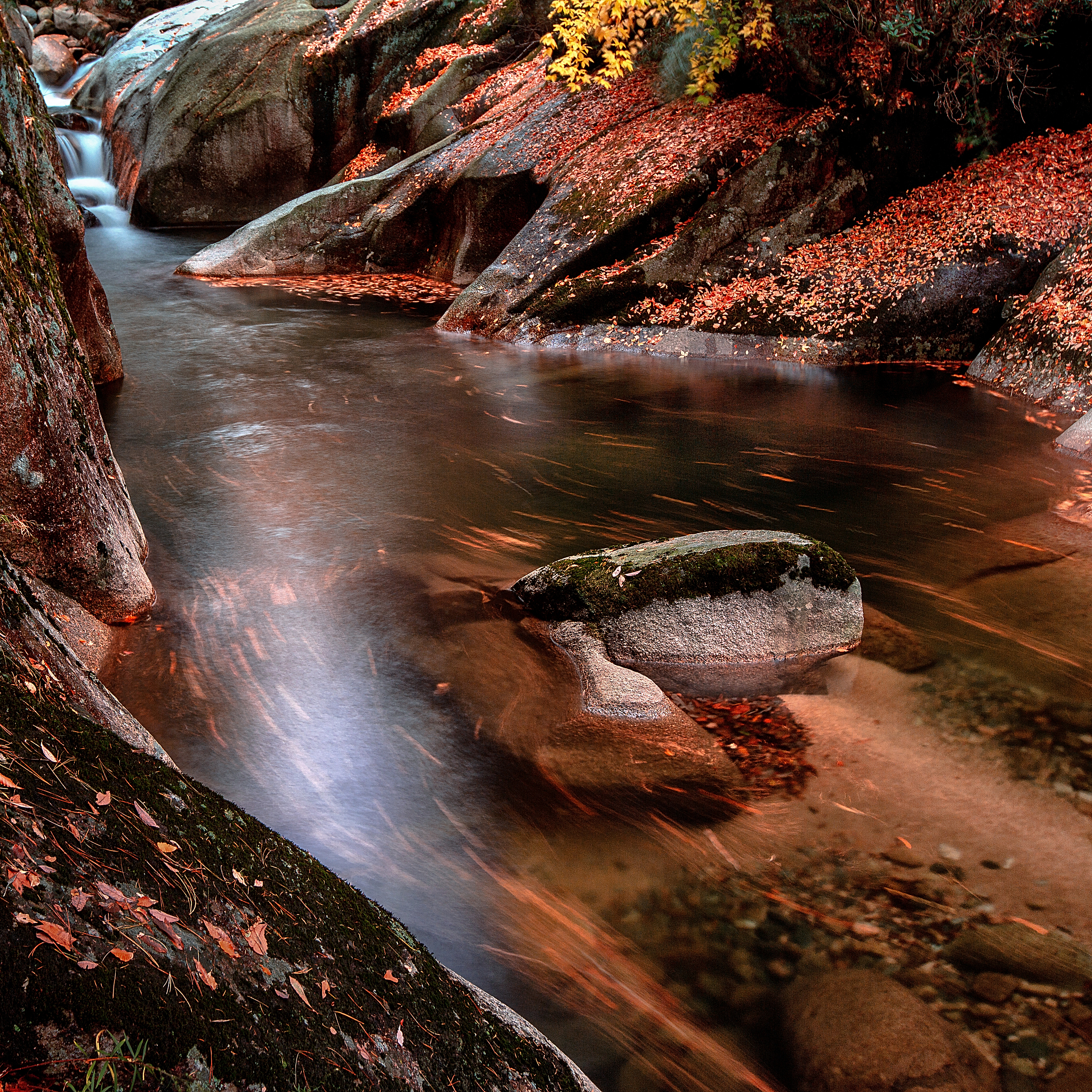 南江县成人中等专业学校专业介绍 - 涵盖文化、技术、艺术等多个领域