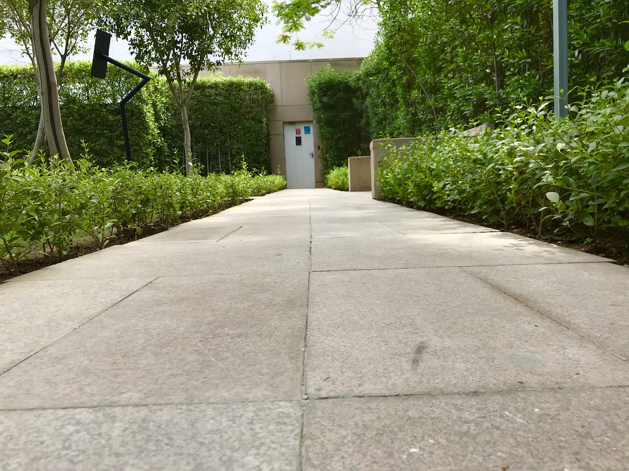 凯里市技工学校园林技术专业就业前景分析