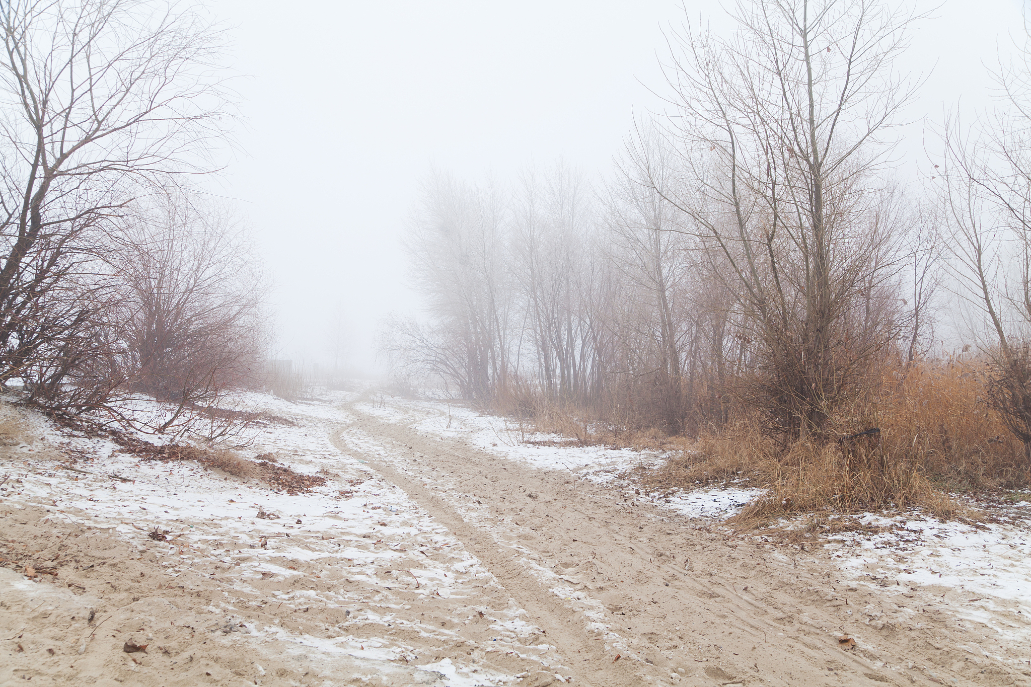 日本の整形文化：進化論、地理、社会文化が織りなす美への追求