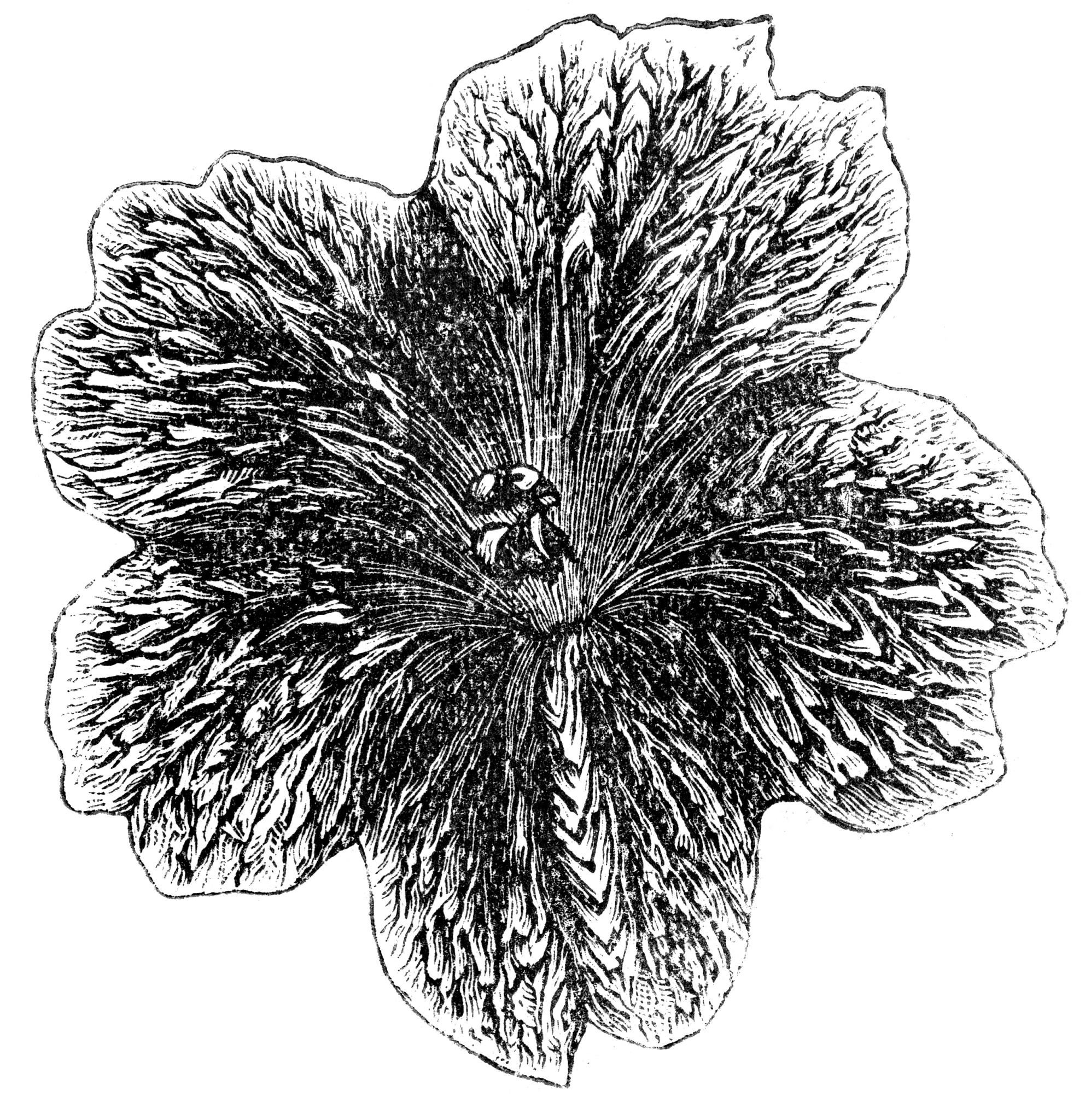 写一个excel的vba逻辑是检查H列的数据将C+数字后面的字符覆盖到I列